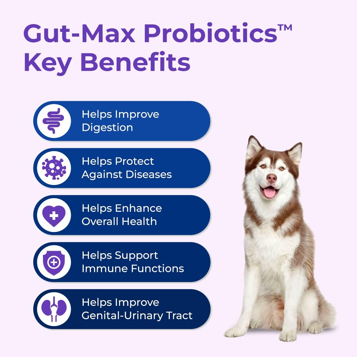Duck Flavored Probiotic Chews for Dogs - Supports Digestive & Immune Health - Relieves Diarrhea, Constipation, Bloating - 90 Soft Chews