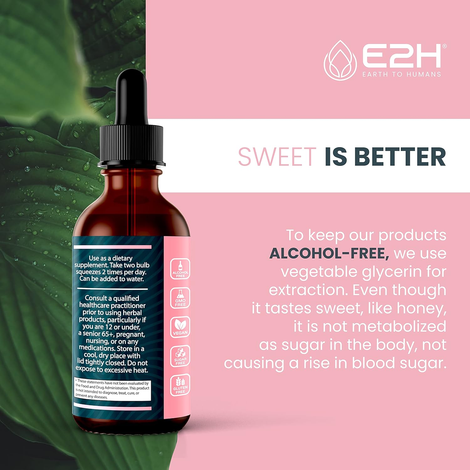 E2H Earth to Humans Breastfeeding Liquid Supplement with Fenugreek, Milk Thistle, Fennel - Vegan Lactation Support - Alcohol-Free - 2 Bottles