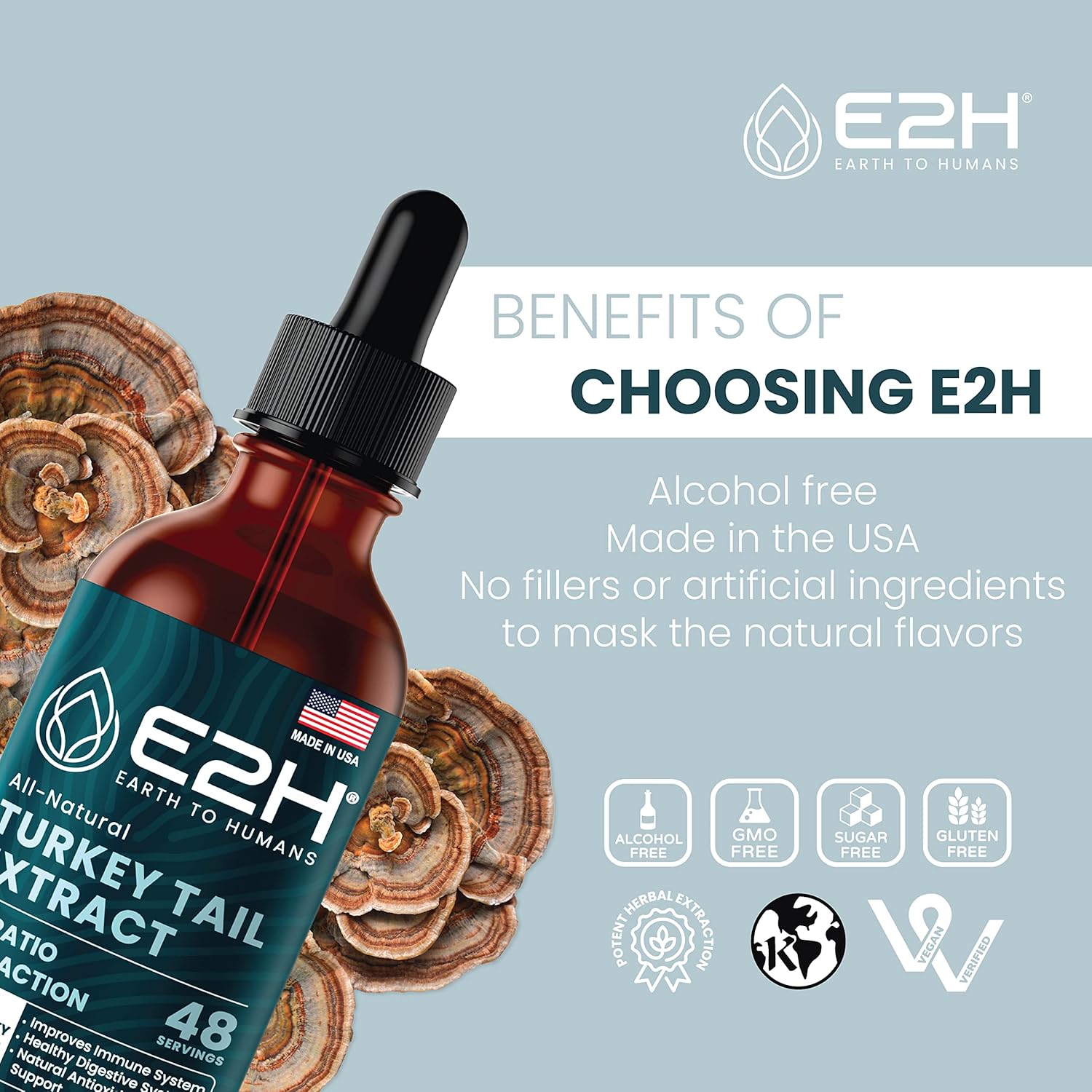 E2H Turkey Tail Mushroom Extract - Immune & Digestive Support Supplement - Non-GMO, Vegan - Pack of 3
