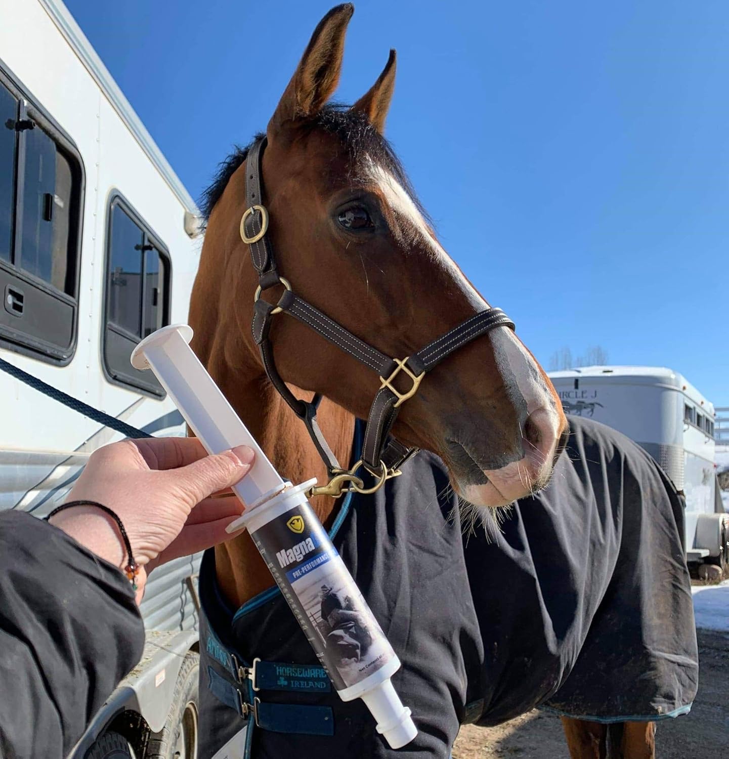 Eagle Equine MagnaGard Pre-Performance Calming Paste - Natural Gastric Support for Horses (6 Pack)