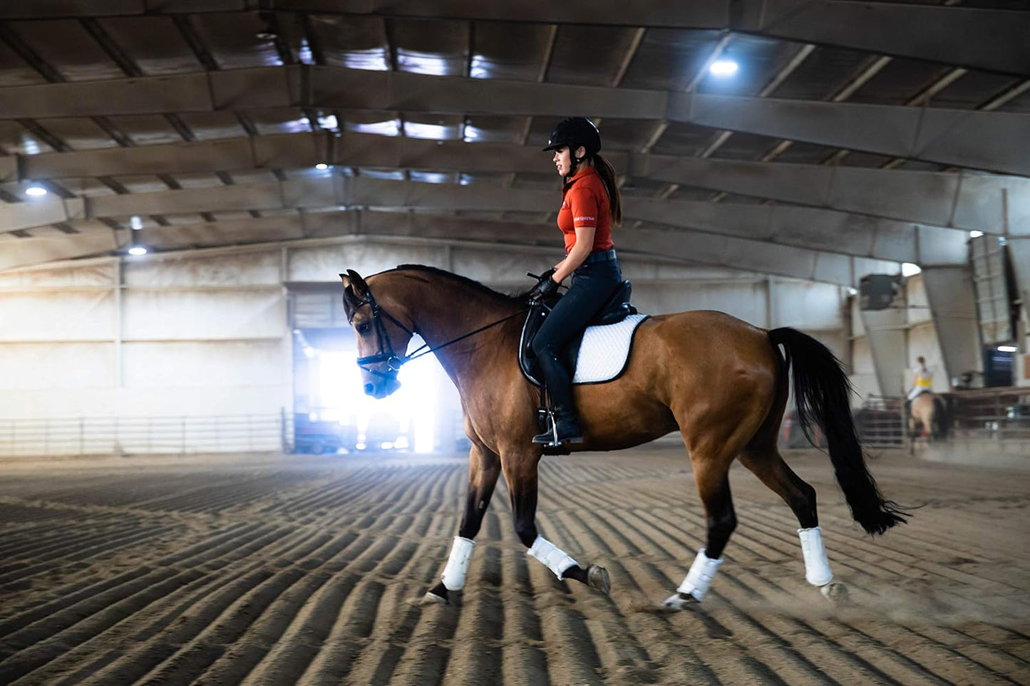 Eagle Equine MagnaGard Pre-Performance Calming Paste - Natural Gastric Support for Horses (6 Pack)