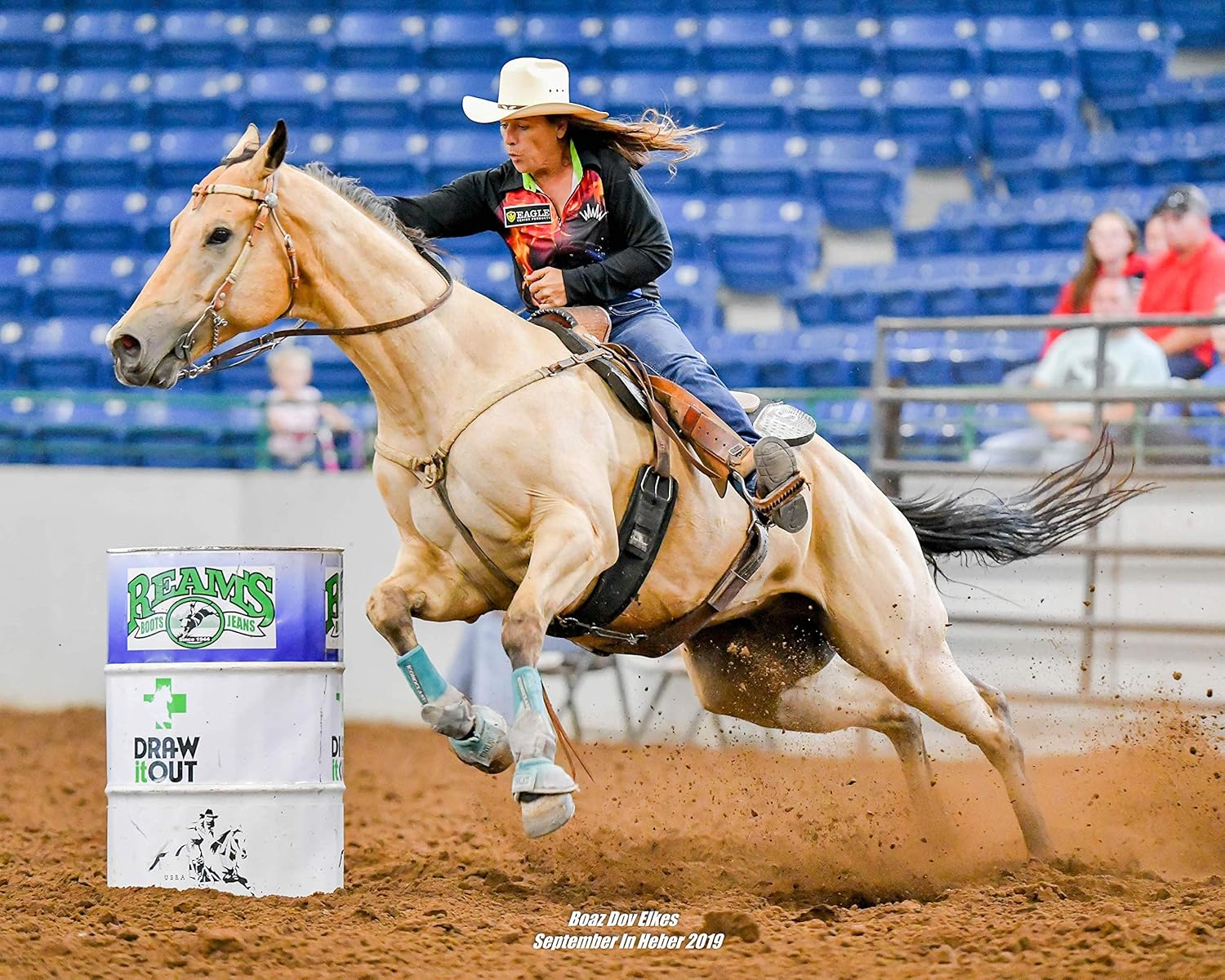 Eagle Equine MagnaGard Pre-Performance Calming Paste - Natural Gastric Support for Horses (6 Pack)