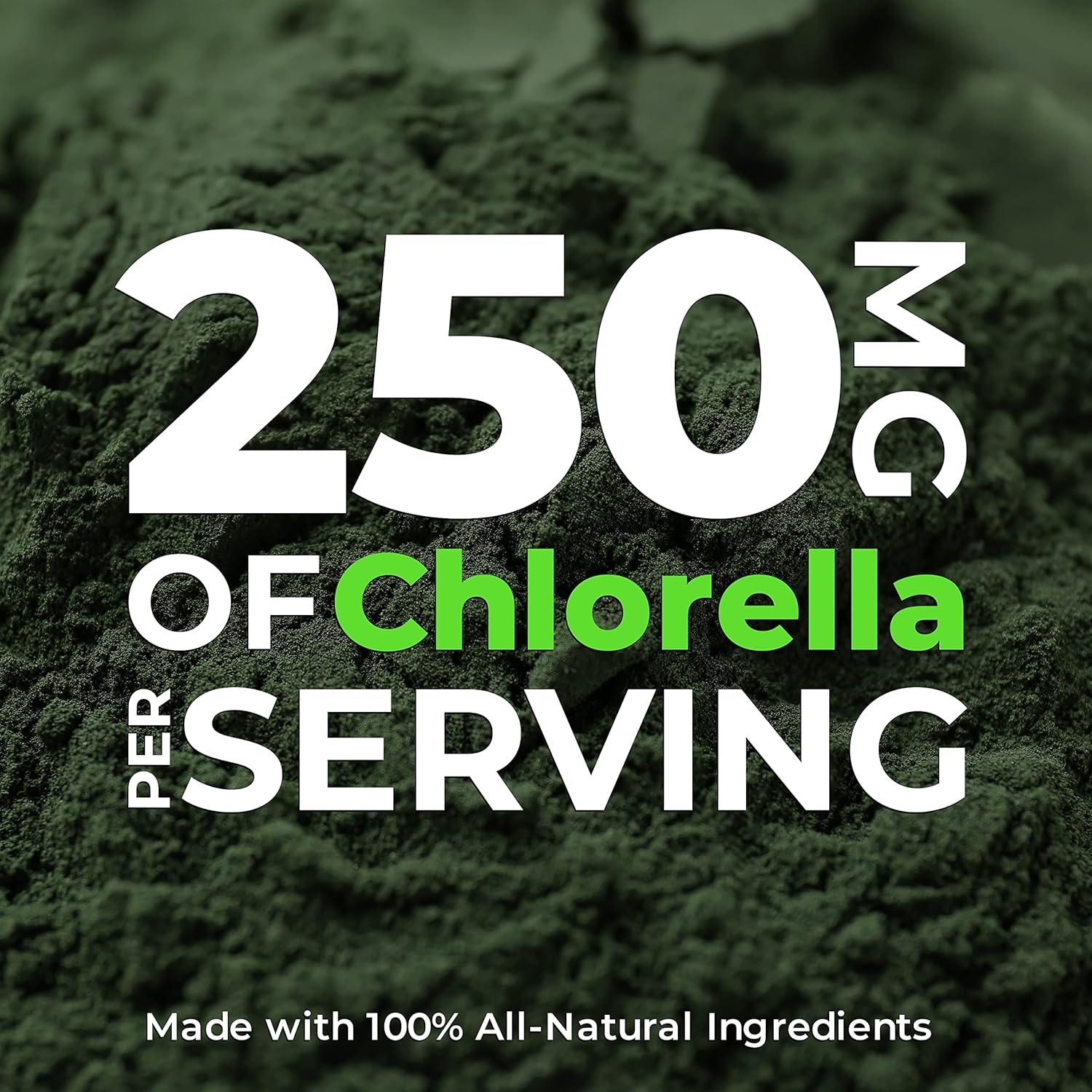 Earth Circle Organics Chlorella Tablets | Organic, Kosher, High Protein & Iron, Vegan Superfood Supplement - 400 Tablets