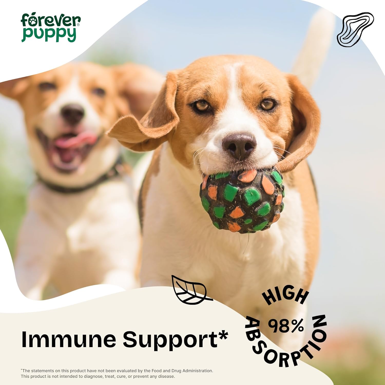 Echinacea Drops for Dogs - Immunity & Respiratory Health Support - Liquid Supplement - 4 oz Bottle