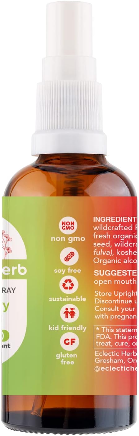 Eclectic Institute Elderberry Red Root Spray, 1 OZ - Organic Immune Support Formula