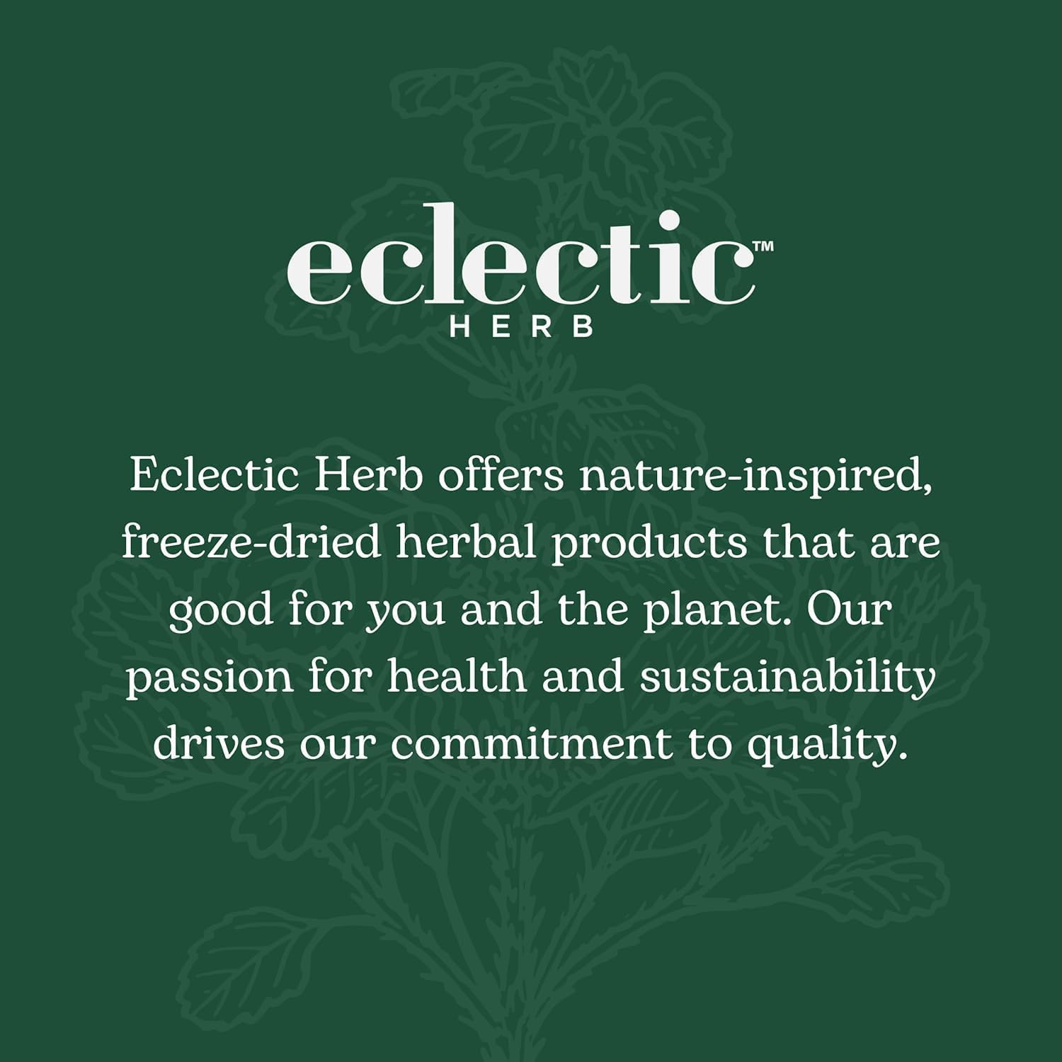 Eclectic Institute Golden Milk Cog Supplement 60g