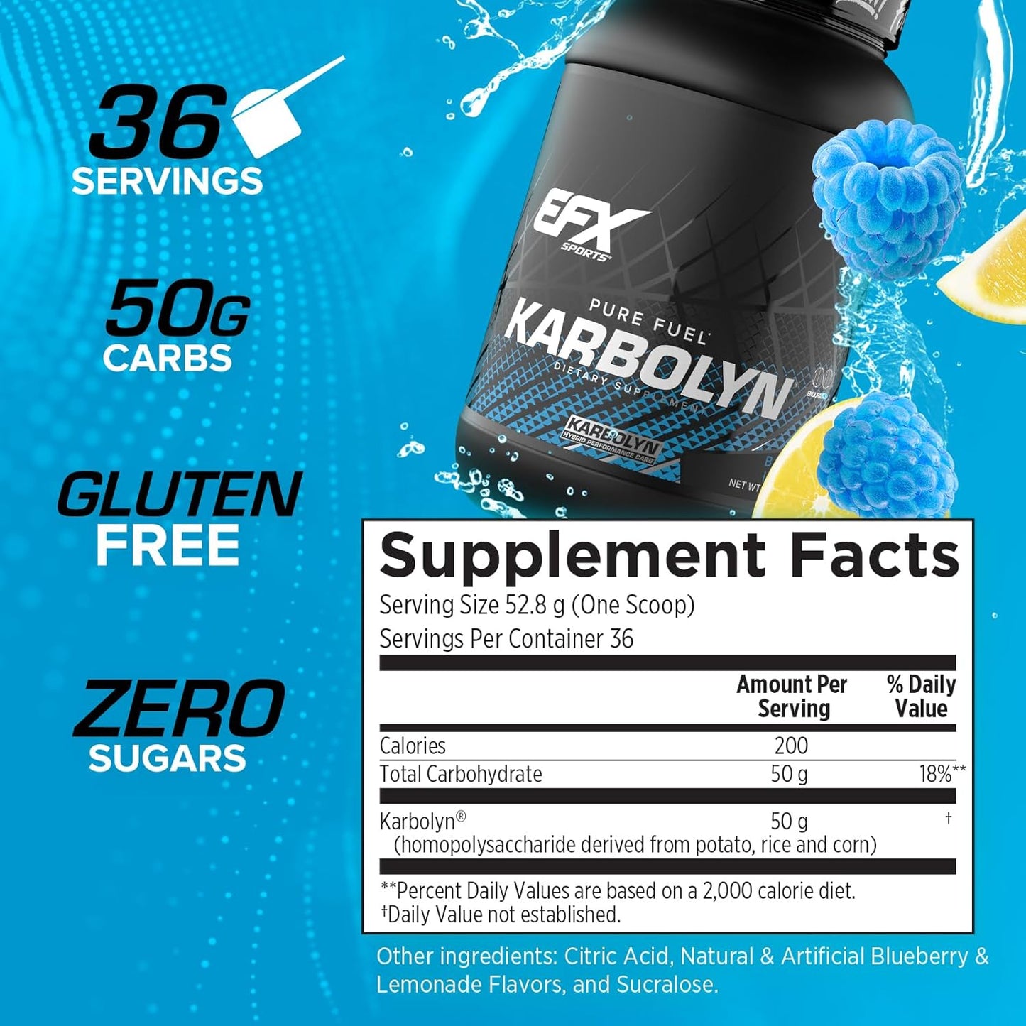 EFX Sports Karbolyn Fuel - Blueberry Lemonade Carb Powder for Energy & Recovery - 36 Servings