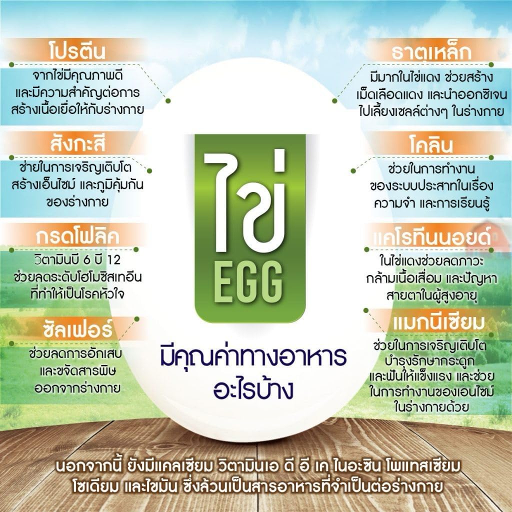 Egg White Protein Tablets - 90 Tablets, 3.80oz Alburnin Powder Supplement