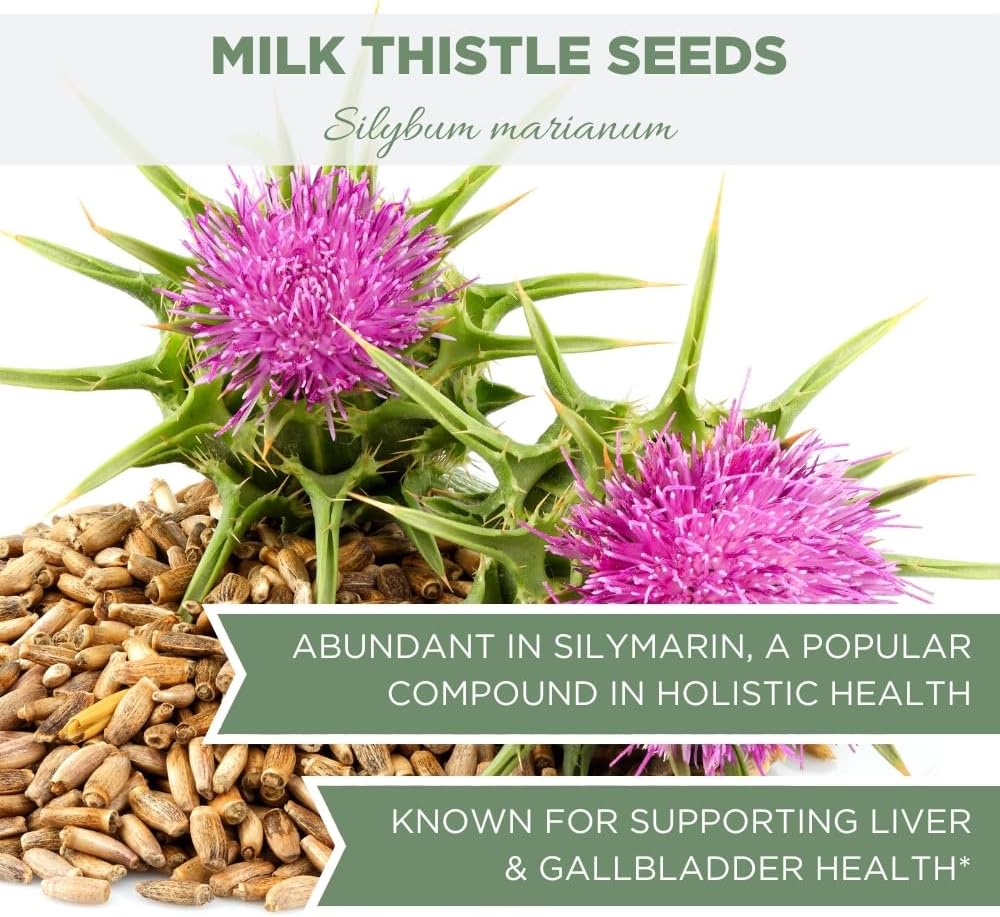 Elanen Naturals Organic Milk Thistle Seeds 4 oz - USDA Certified Semillas de Mariano - Bulk Dried Silybum Marianum Seeds