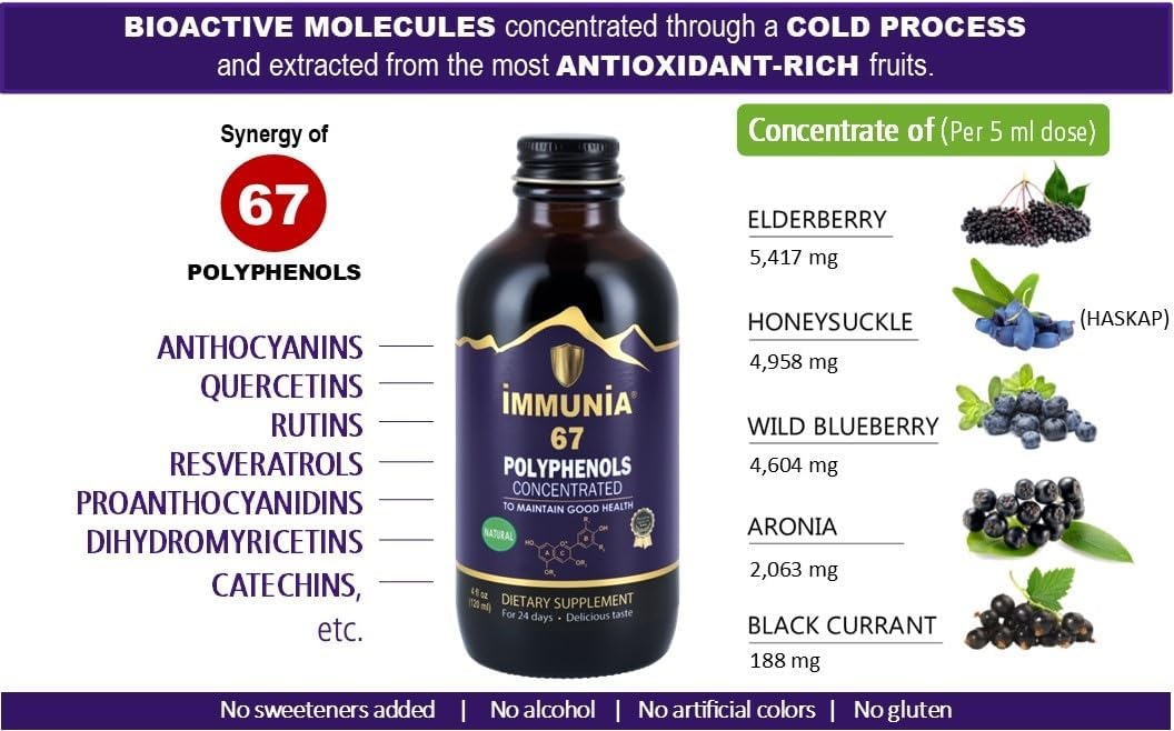 Elderberry Concentrate with 67 Polyphenols - Premium Antioxidant Supplement - 24-Day Supply