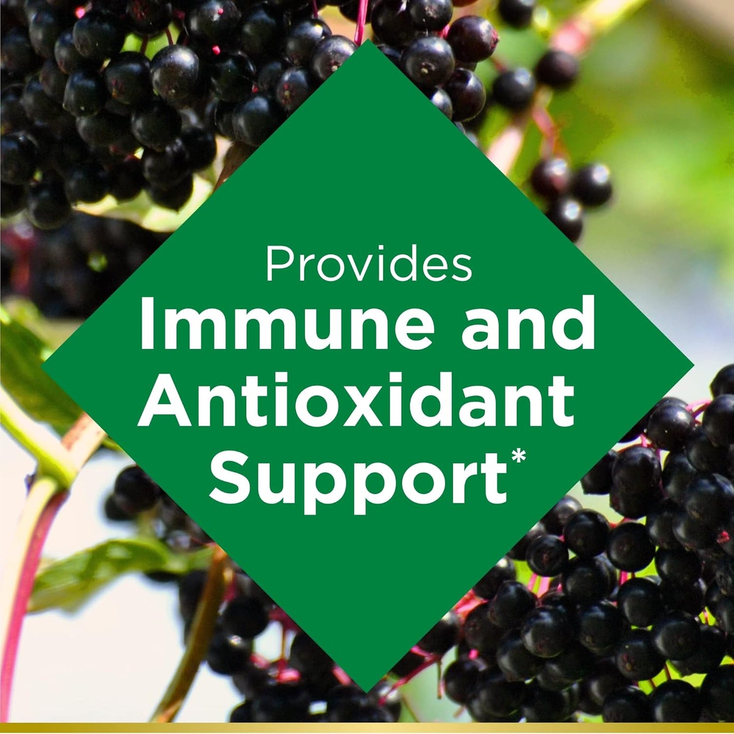 Elderberry Gummies with Vitamin A, C, D, E, Zinc for Immune Support - 40 Gummies