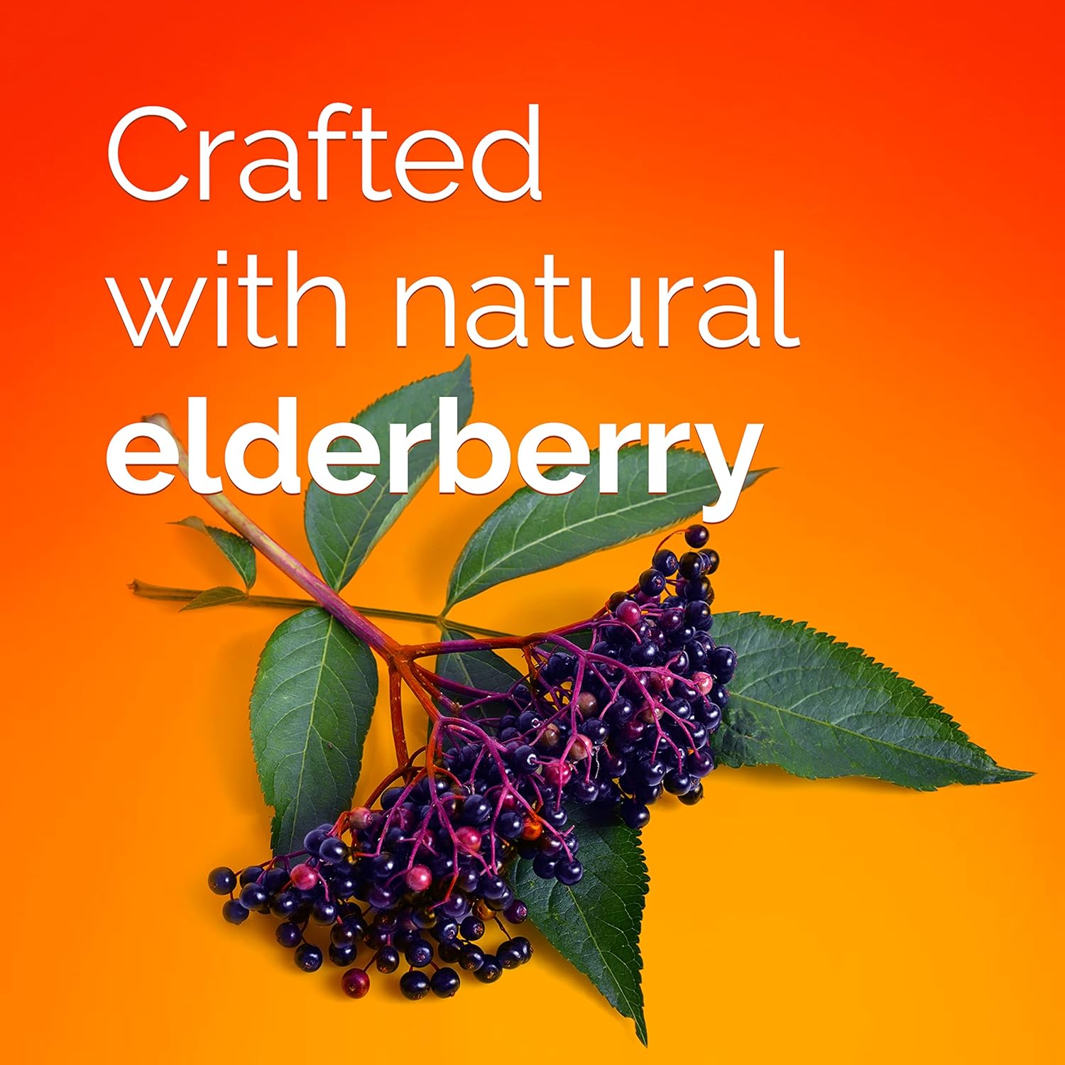 Elderberry Immune Support Fizzy Drink Mix with High Potency Vitamin C - 18 Count