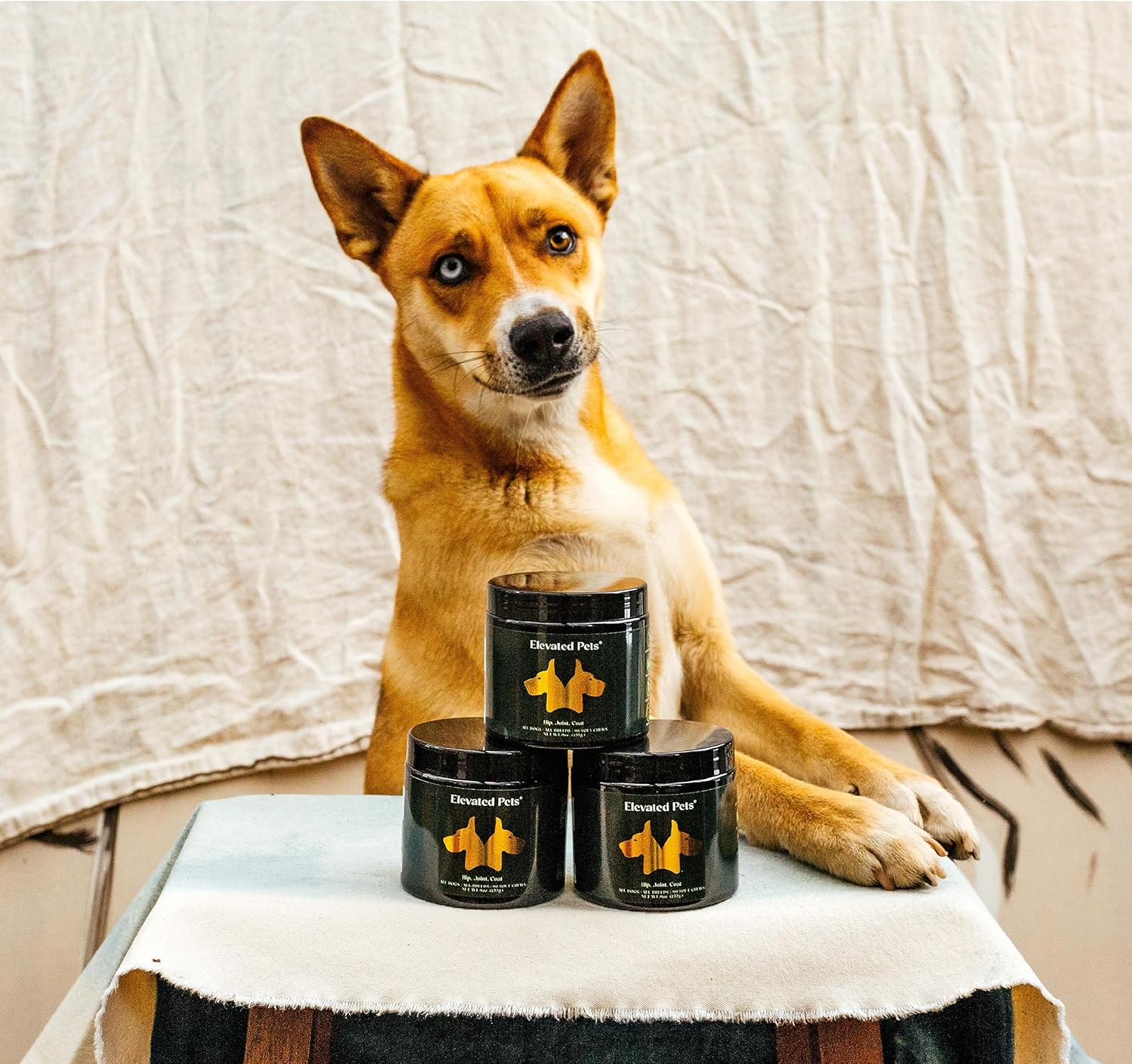 Elevated Pets Ultimate Dog Vitamin Supplement with Omega 3 Fish Oil, MSM, Glucosamine, Chondroitin, EPA/DHA, Turmeric, and Allergy Chews