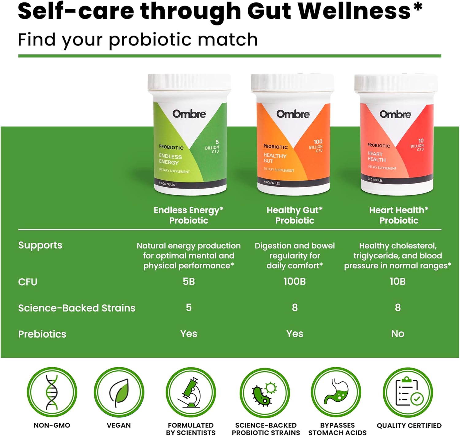 Endless Energy Probiotic Supplement with Ombre, 12 Billion CFU for Energy, Memory, Focus & Gut Health, Shelf-Stable - 30 Servings