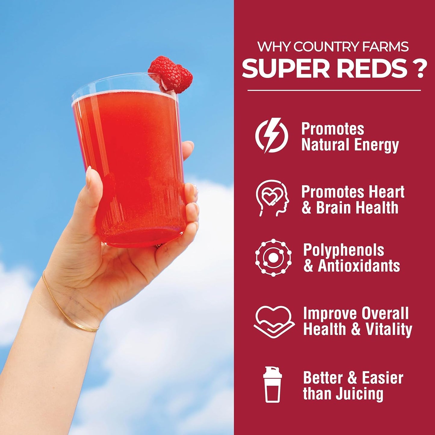 Energizing Superfood Blend with 48 Fruits and Berries for Energy and Antioxidant Support, Mixed Berry Flavor, 20 Servings
