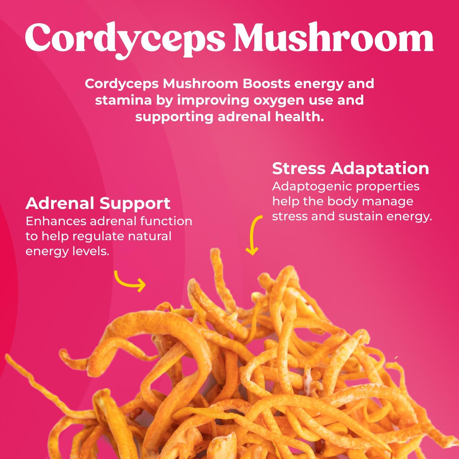 Energy & Focus Mushroom Supplement with Cordyceps, Beta-Glucan, Green Tea Extract, and Ginseng - Immune Support & Memory Boost - 60 Capsules