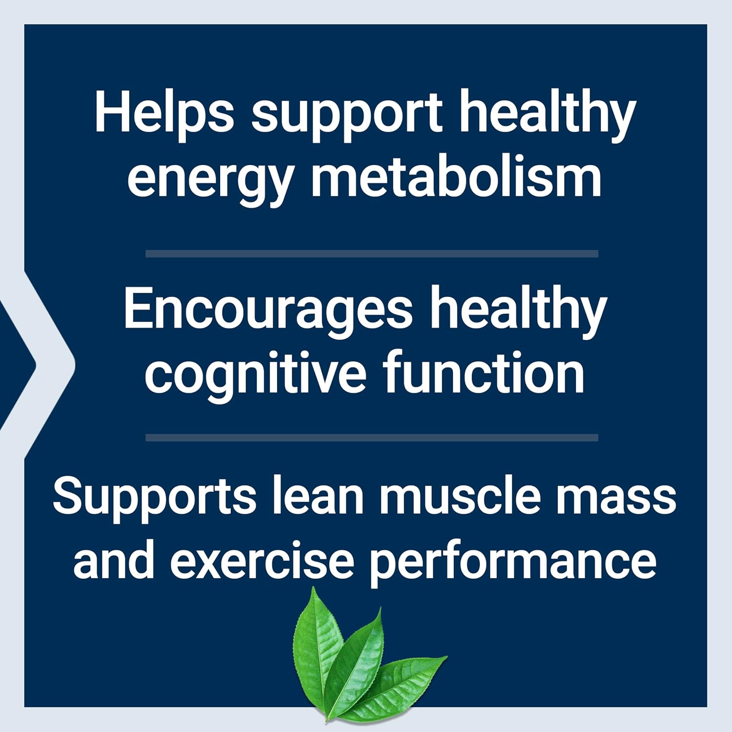 Energy Support Supplement with Creatine Monohydrate & Acetyl-L-Carnitine - 30 Servings, Vegetarian & Non-GMO