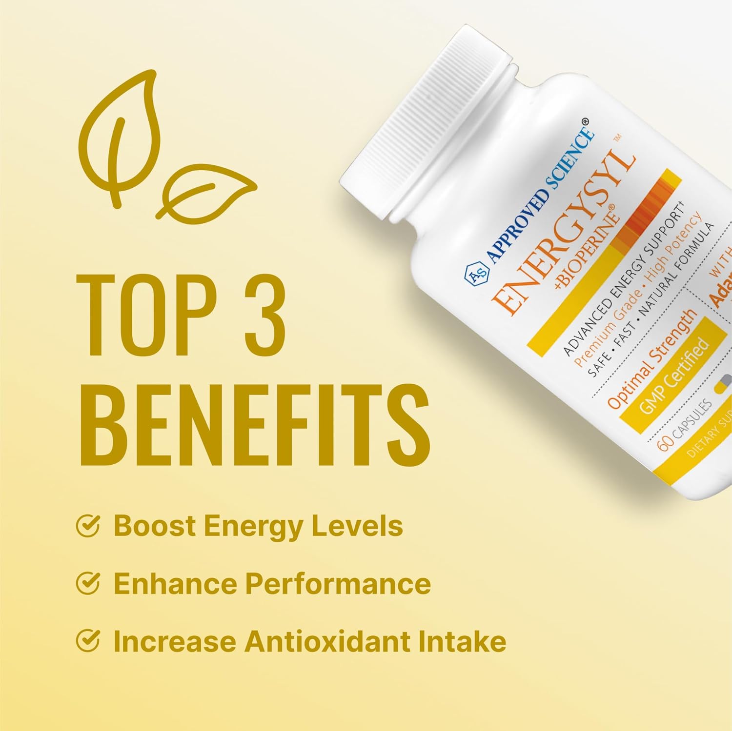 Energysyl Caffeine-Free Supplement with Adaptogens, B Vitamins, Bioperine - 1 Month Supply - 60 Capsules - USA Made