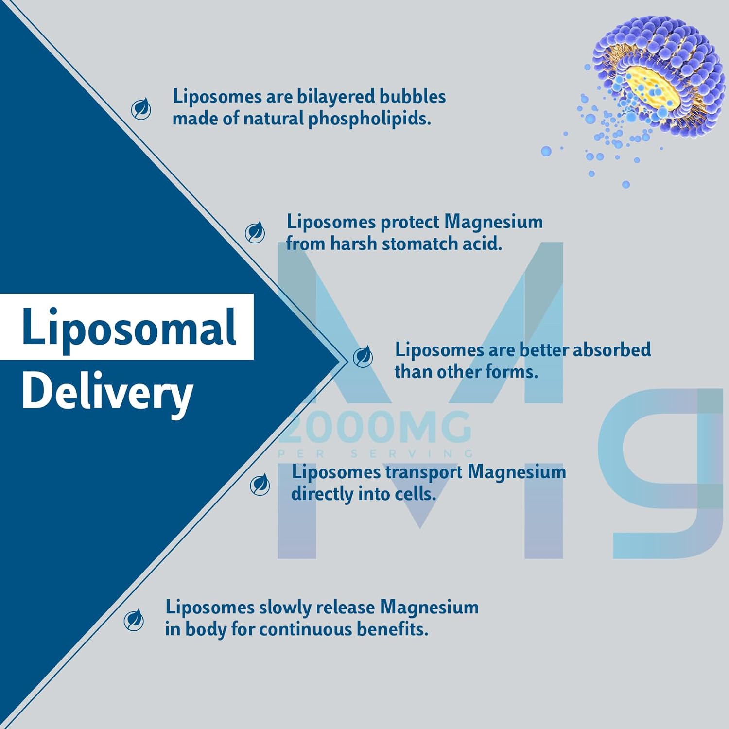 Enerrgecko Liposomal Magnesium Softgels 2000mg with Vitamin D3 & K2 for Brain, Bone Health, and Muscle Relaxation - Non-GMO, Gluten-Free 60 Softgels
