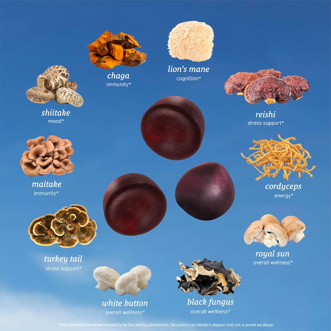 Enhance Focus and Mood with SUNMED All-in-One Mushroom Gummy Supplements - 60ct Cognitive and Immune Support with Wild Raspberry Flavor
