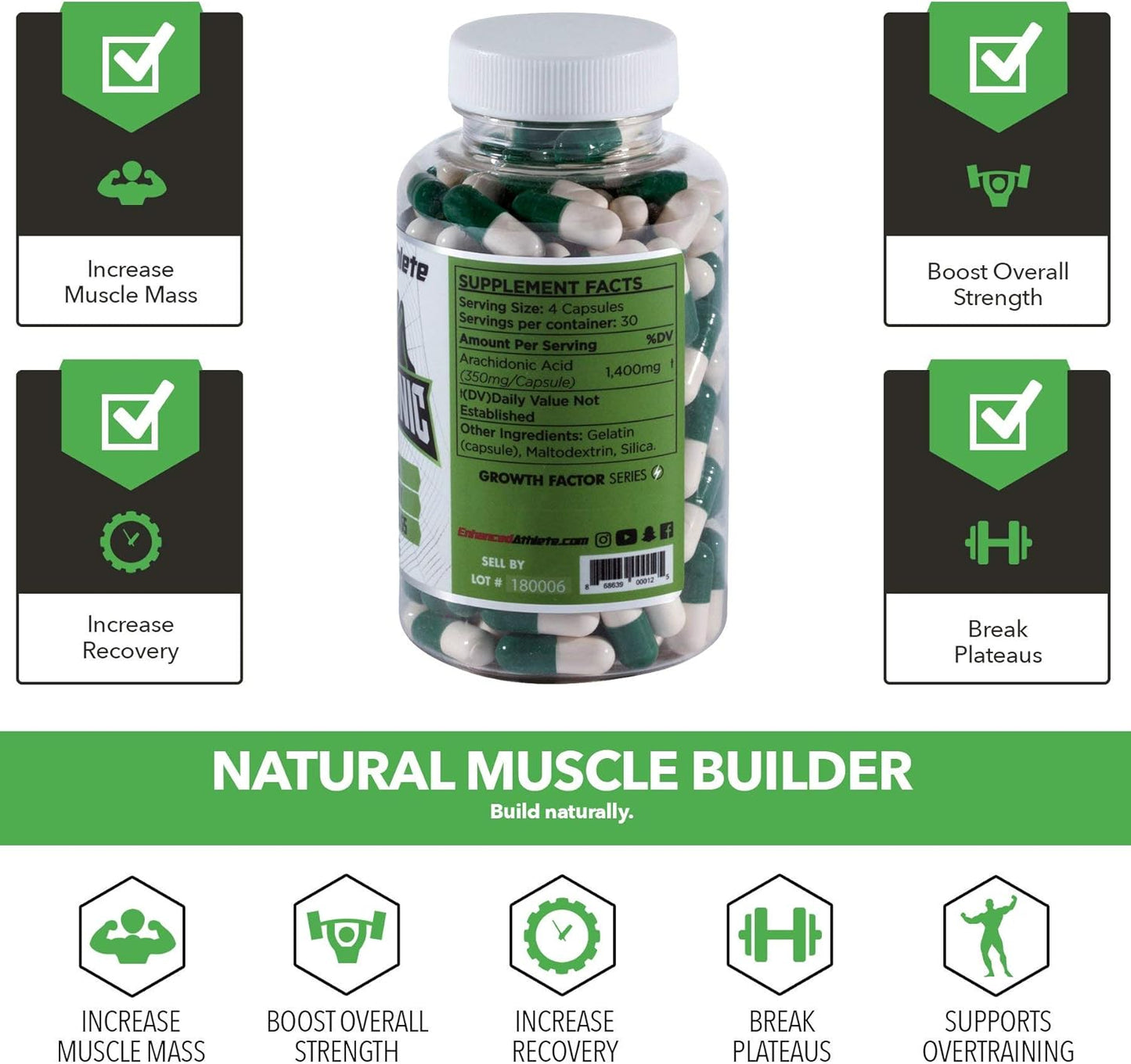 Enhanced Athlete Arachidonic Acid Supplement for Muscle Mass & Recovery - 120 Capsules