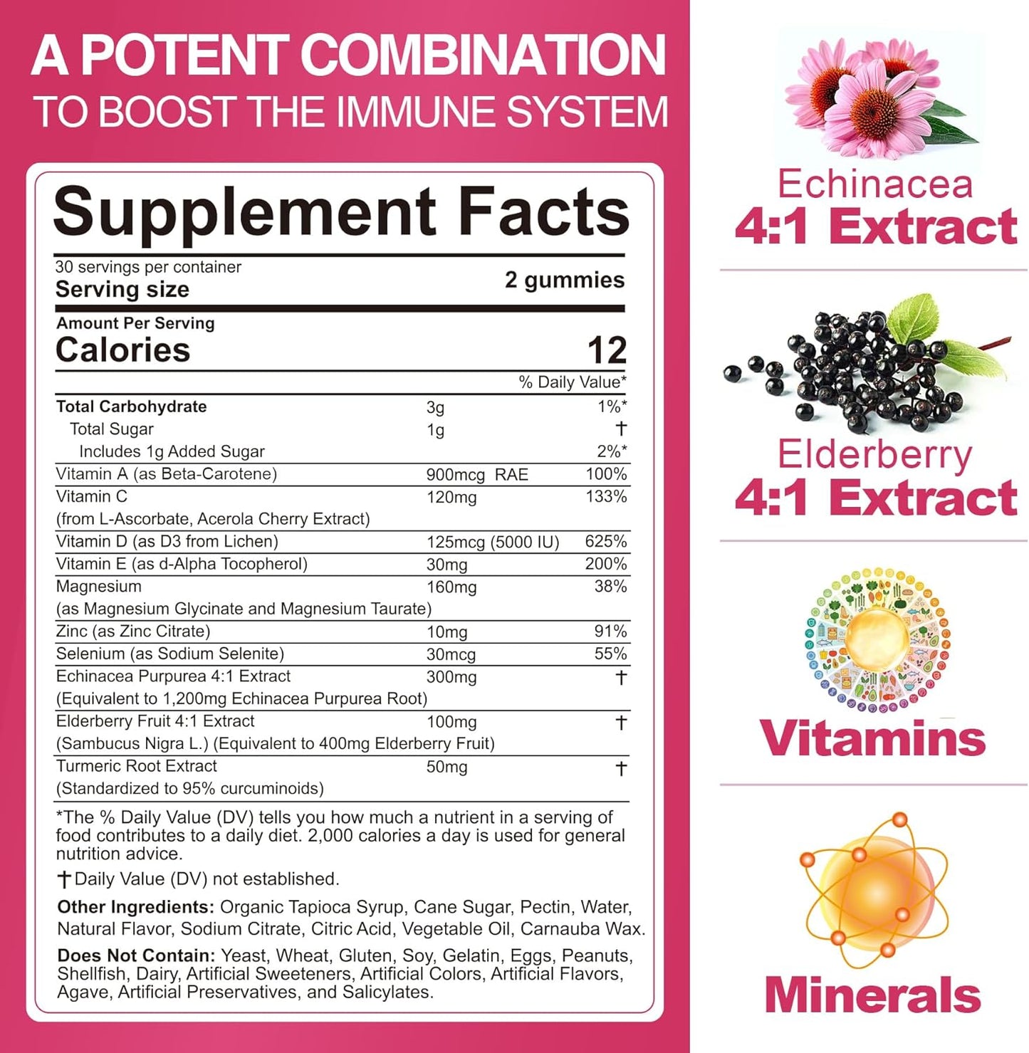 ENVYCURE Immune Boosting Multivitamin Gummies with Elderberry, Echinacea, Turmeric, Vitamin C, D3, E, Zinc, Selenium, Magnesium - 2 Pack, Supports Immune Health & Strong Bones