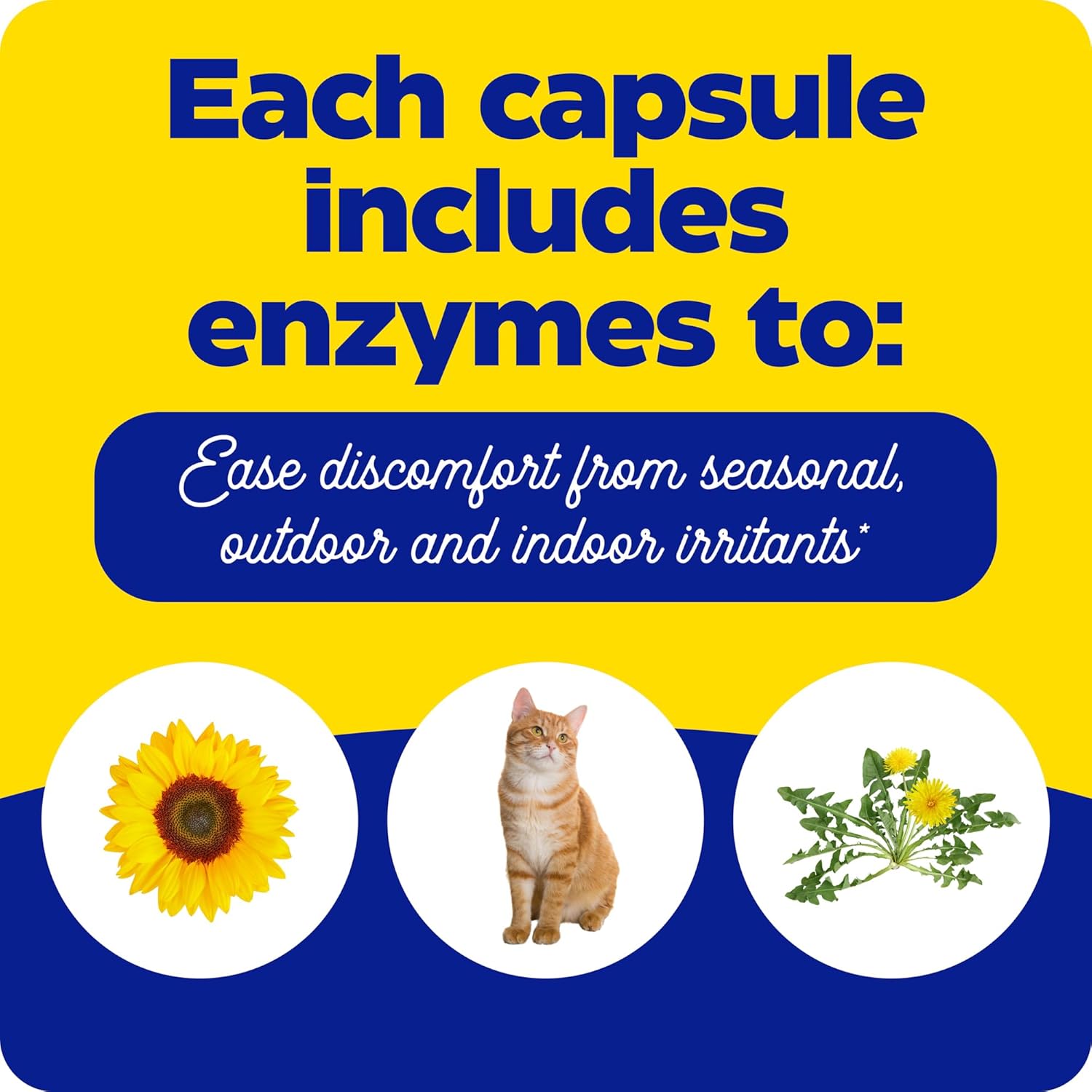 Enzymedica Allerase 60ct Non-Drowsy Enzyme Supplement for Seasonal Mucus Relief
