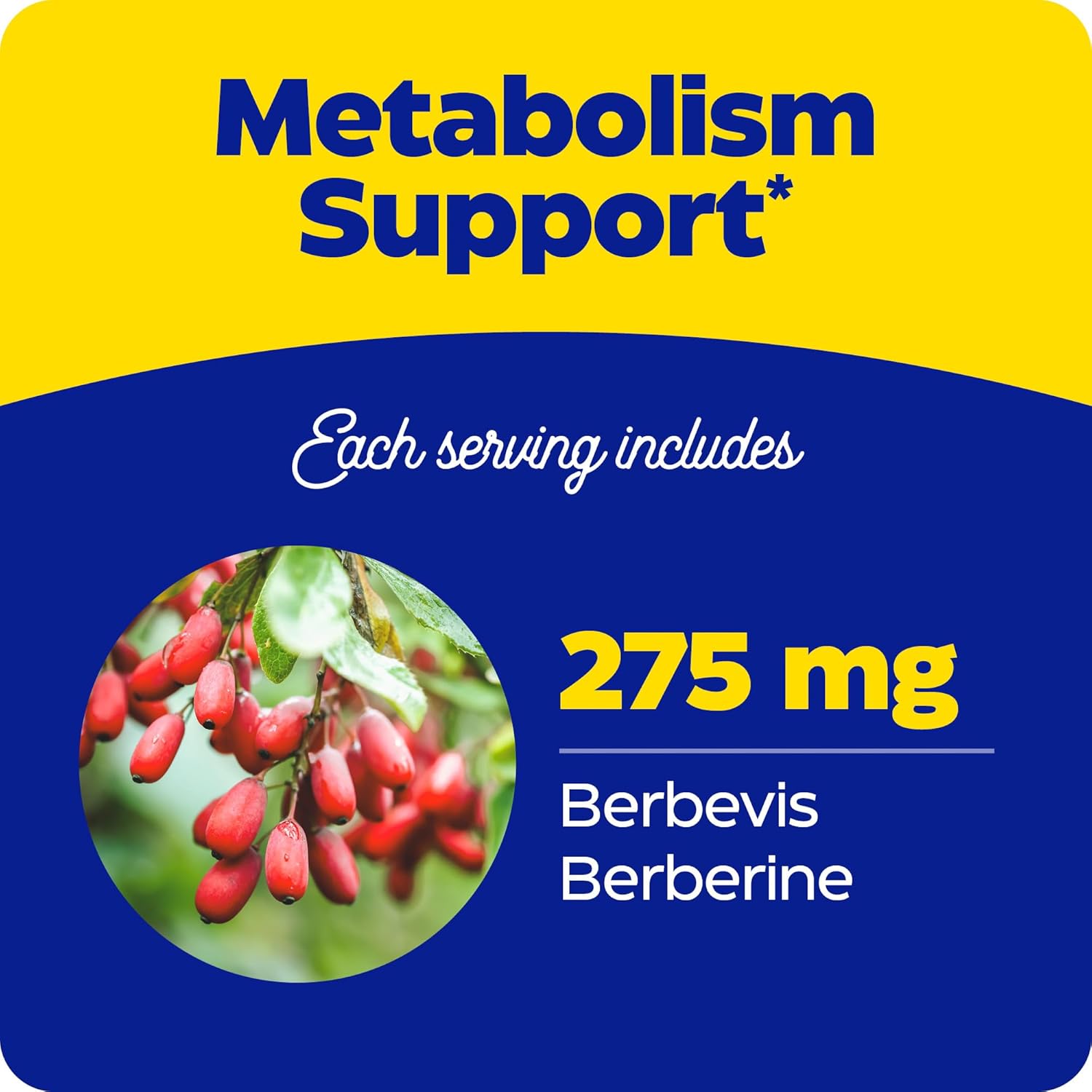 Enzymedica Berberine Phytosome Capsules - High Potency Vegan Metabolic Support Supplement with 9.6X Bioavailability - 60 Count