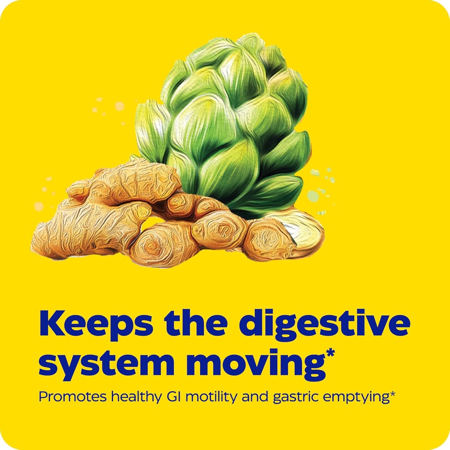 Enzymedica Gut Motility Supplement - Supports Regular Bowel Movements, Reduces Bloating & Constipation - 30 Capsules