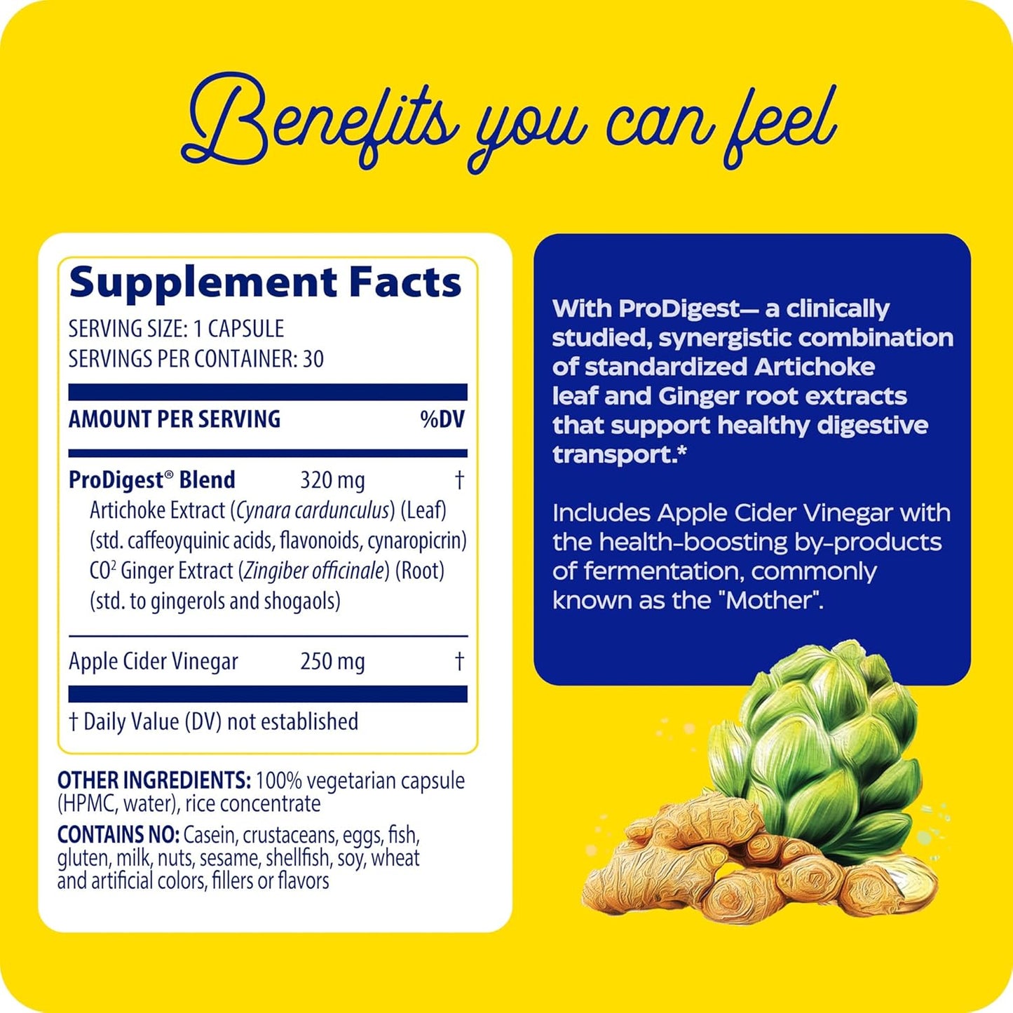 Enzymedica Gut Motility Supplement - Supports Regular Bowel Movements, Reduces Bloating & Constipation - 30 Capsules