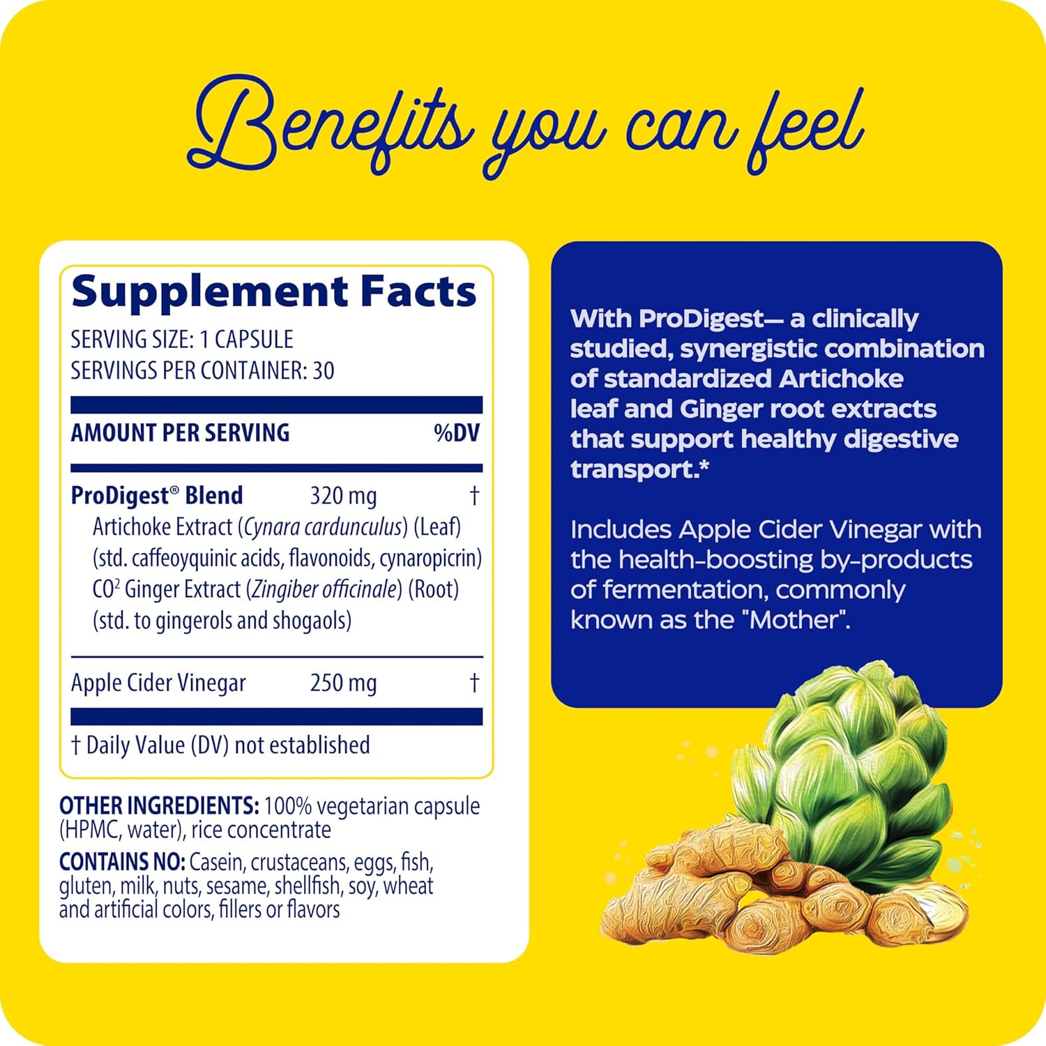 Enzymedica Gut Motility Supplement - Supports Regular Bowel Movements, Reduces Bloating & Constipation - 30 Capsules