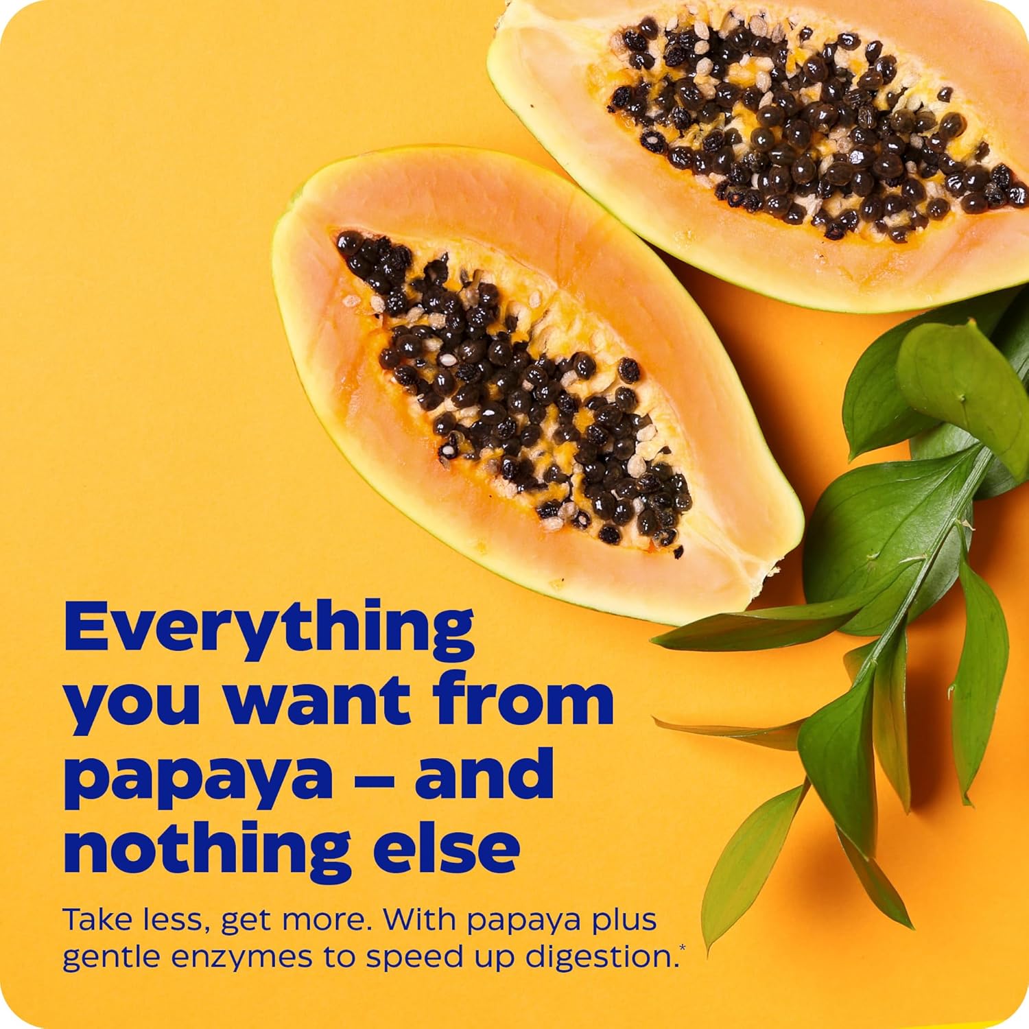 Enzymedica Papaya Complete Chewable Tablets, Vegan Digestive Enzymes with Papaya Juice, Chlorophyll, and Bromelain for Meal Absorption, 120 Mint Flavored Tabs