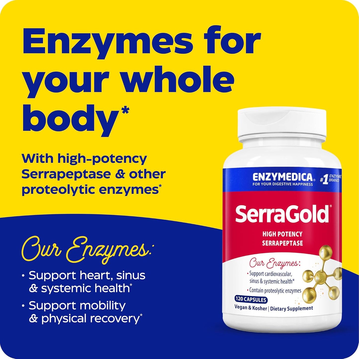 Enzymedica SerraGold Supplement - High-Potency Serrapeptase Enzyme for Respiratory, Heart, and Immune Support - 120 Count