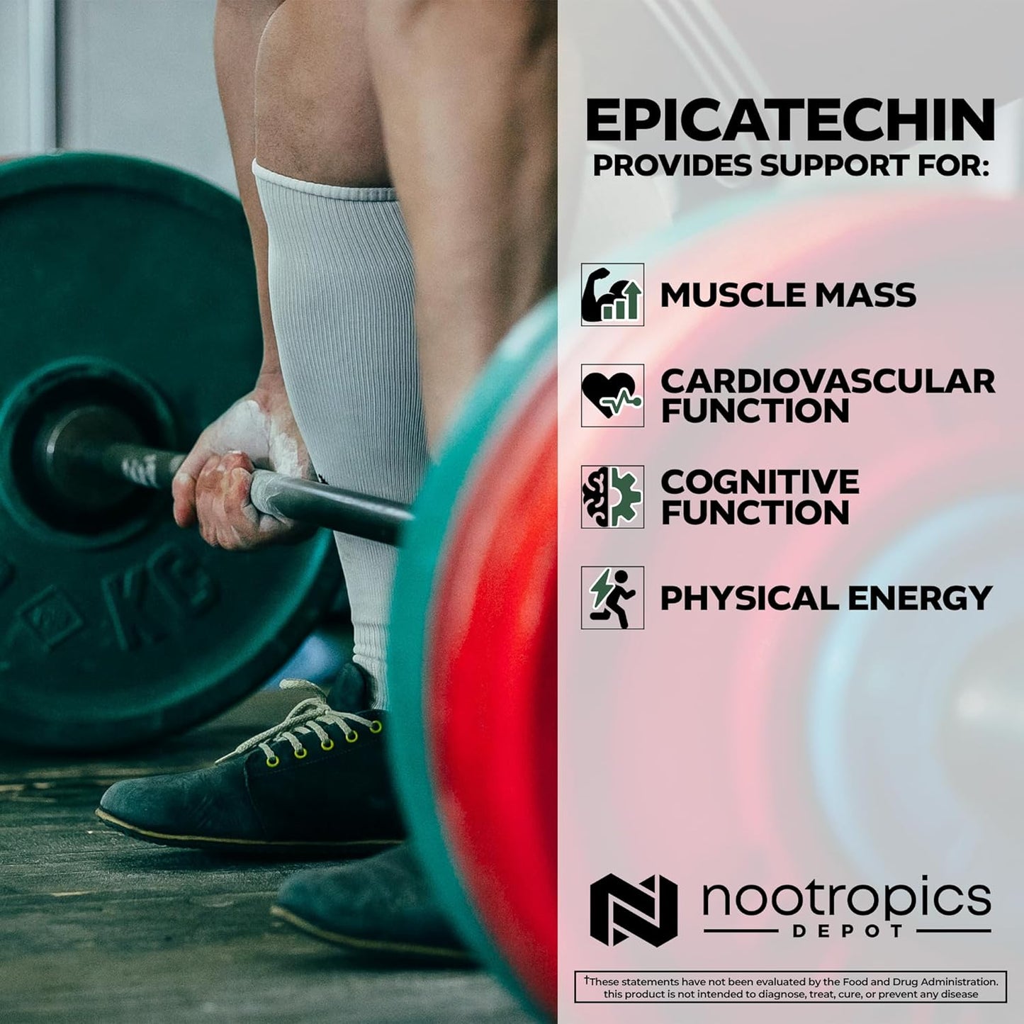 Epicatechin Tablets with Piperine for Muscle Mass, Cardiovascular Health, Energy - 90 Count