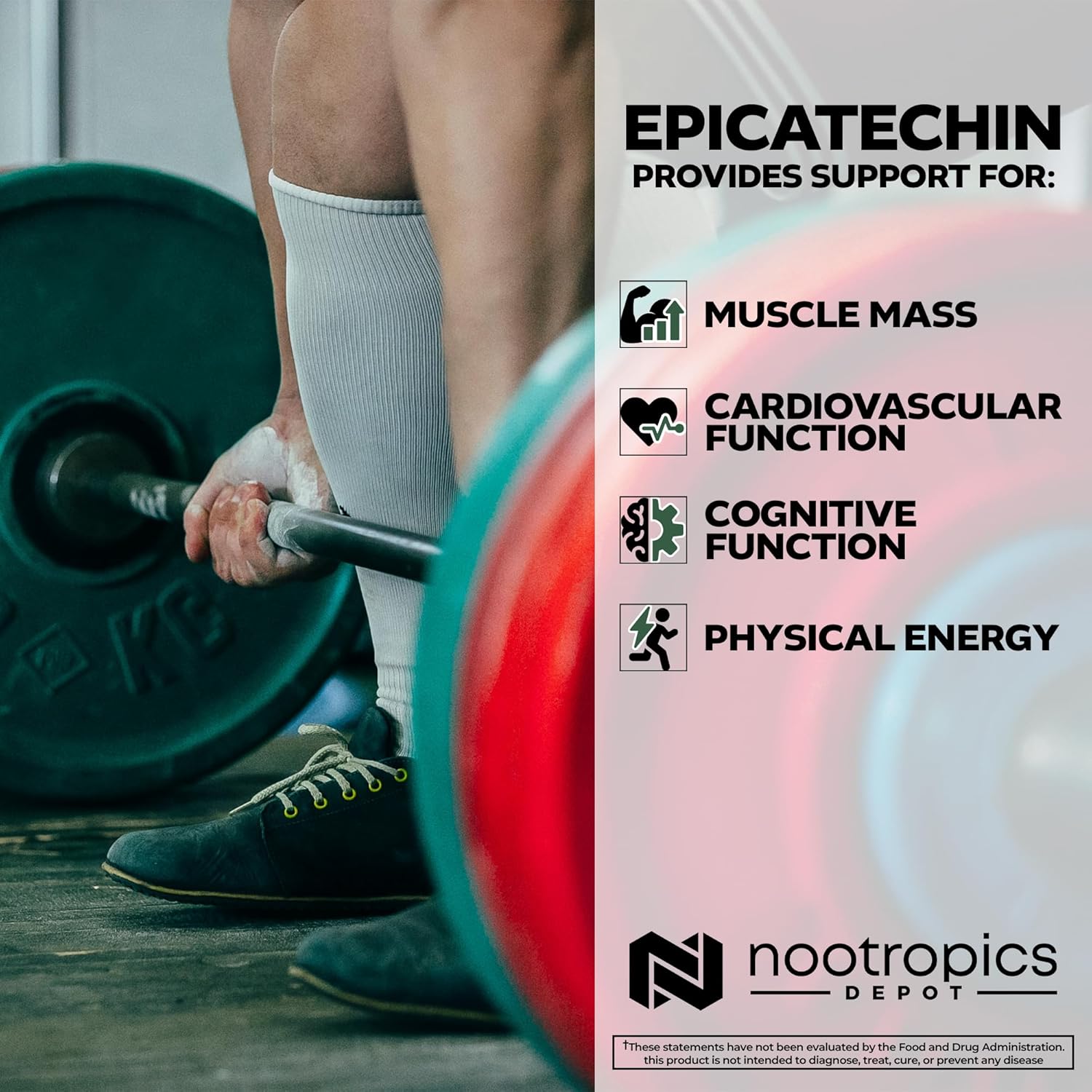 Epicatechin Tablets with Piperine for Muscle Mass, Cardiovascular Health, Energy - 90 Count