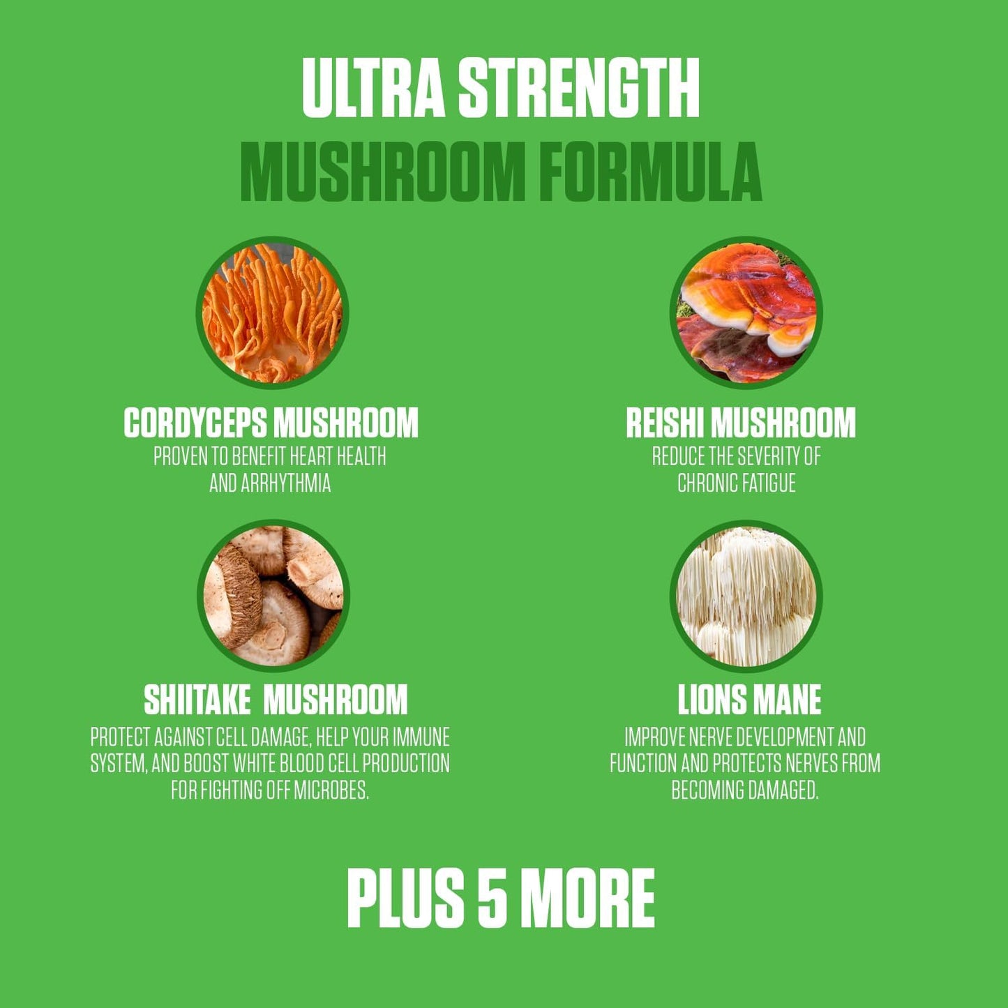 EPN Supplements Mushroom Complex 10x Power | Top-Rated Immune System Boosting Supplement with Cordyceps, Reishi, Shiitake, Lions Mane | Supports Mental Clarity & Overall Health