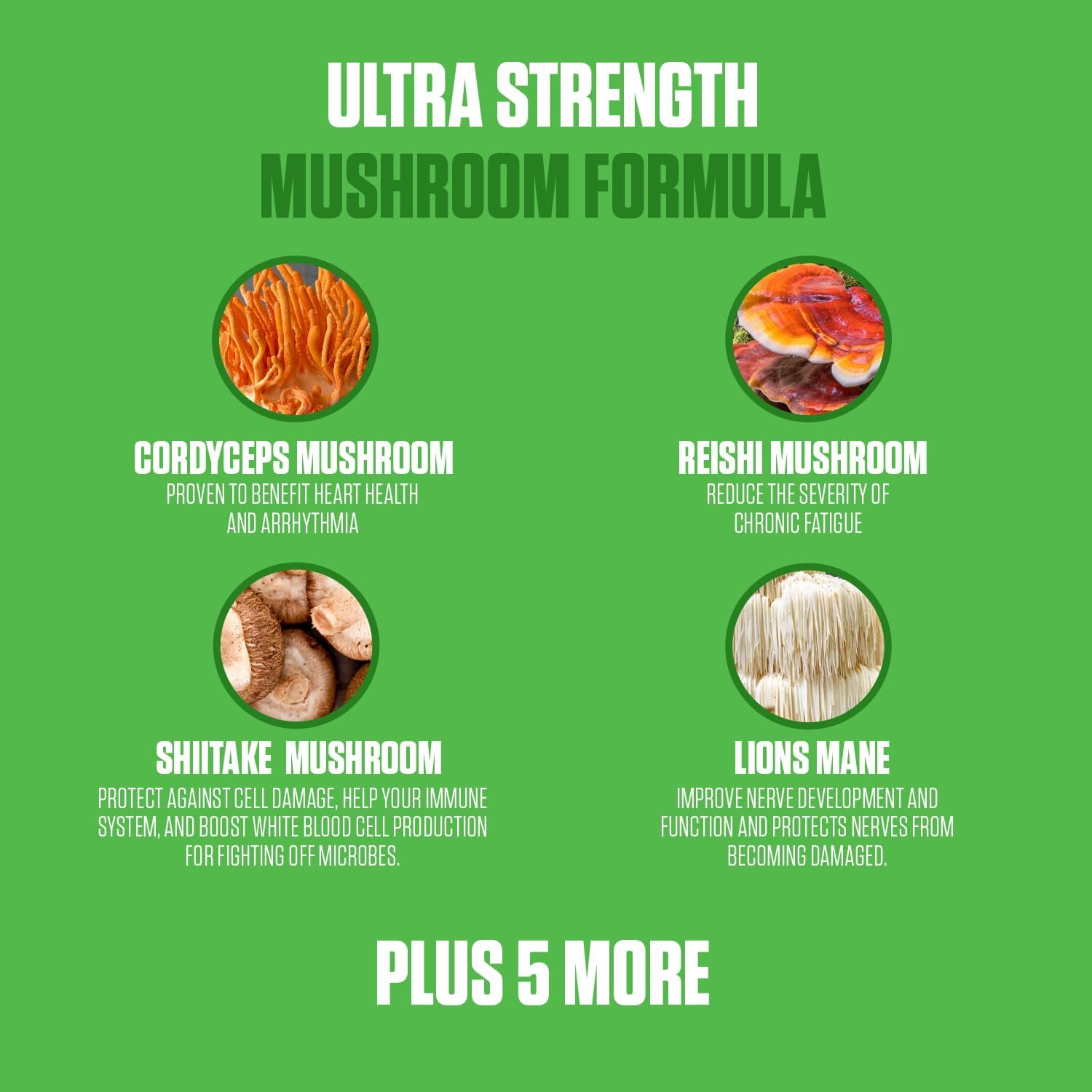 EPN Supplements Mushroom Complex 10x Power | Top-Rated Immune System Boosting Supplement with Cordyceps, Reishi, Shiitake, Lions Mane | Supports Mental Clarity & Overall Health