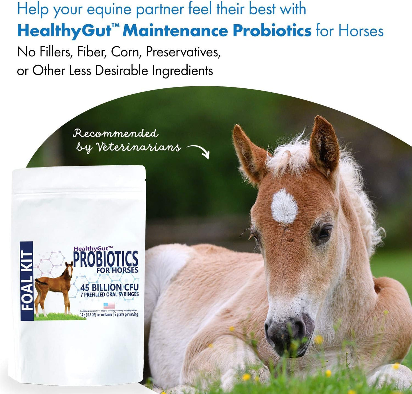 Equa Holistics HealthyGut Foal Kit: All-Natural Dietary Supplement for Horses (14g)