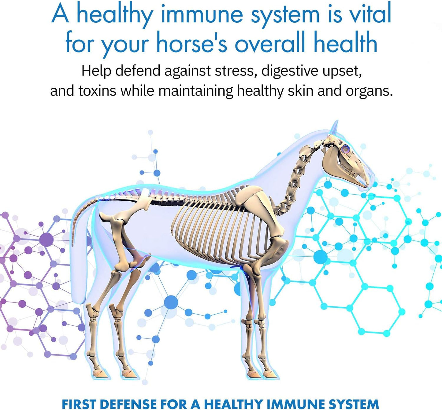 Equa Holistics HealthyGut™ Probiotics for Horses - All-Natural Digestive System Support (30-Day Supply)