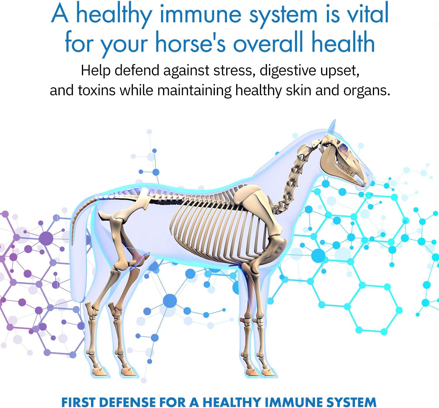 Equa Holistics HealthyGut™ Probiotics for Horses - All-Natural Digestive System Support (30-Day Supply)