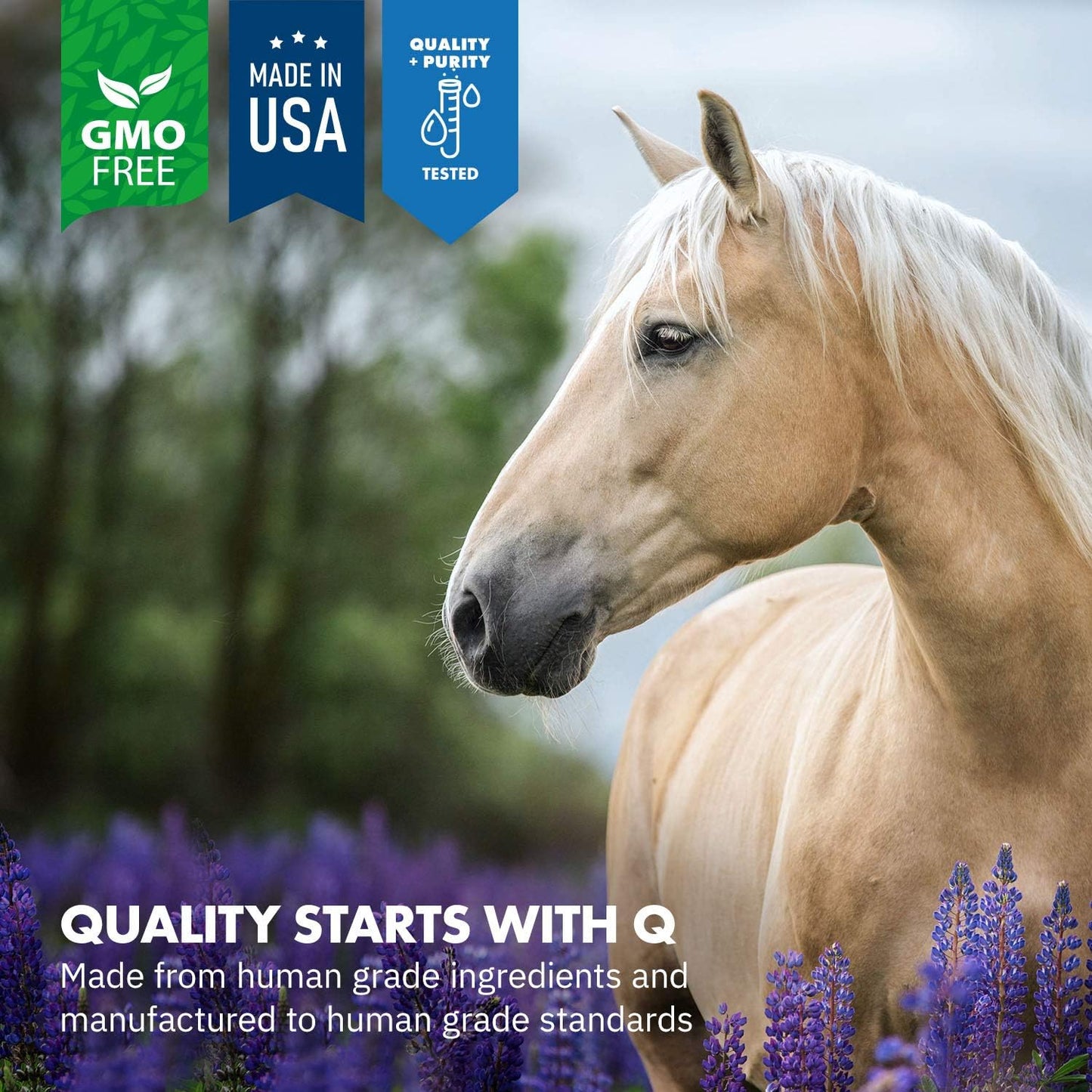 Equa Holistics HealthyGut™ Probiotics for Horses - All-Natural Digestive System Support (30-Day Supply)