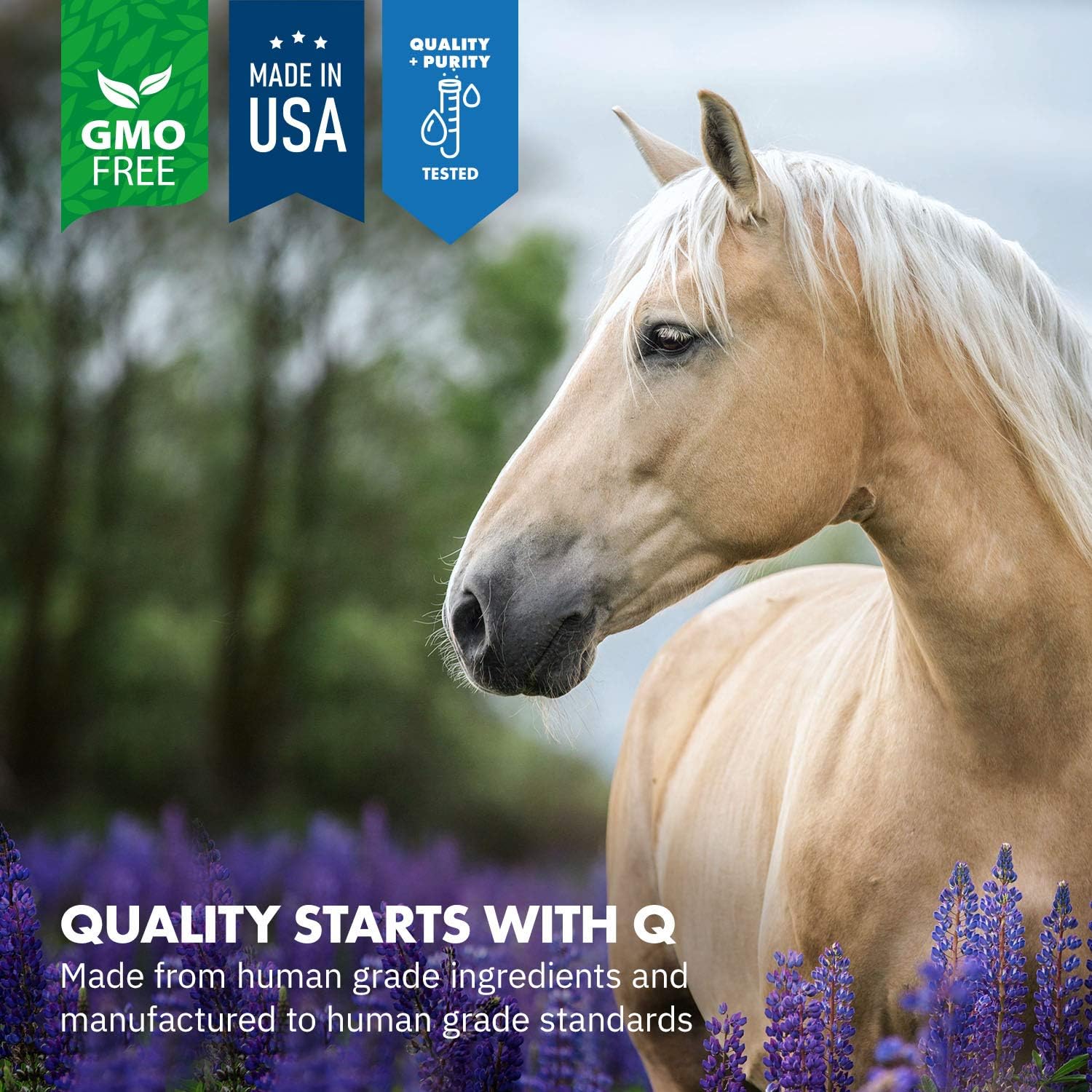 Equa Holistics HealthyGut™ Probiotics for Horses - All-Natural Digestive System Support (30-Day Supply)