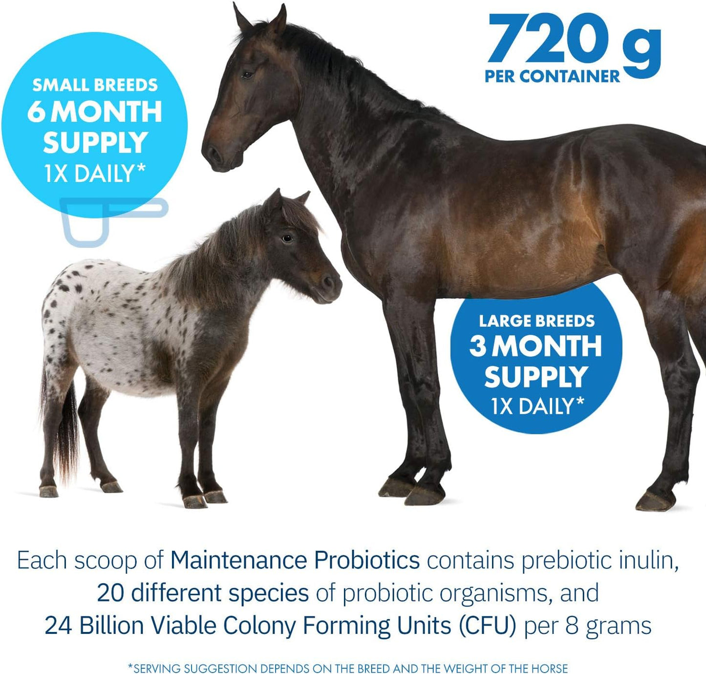 Equa Holistics HealthyGut™ Probiotics for Horses - All-Natural Digestive System Support (90 Day Supply)