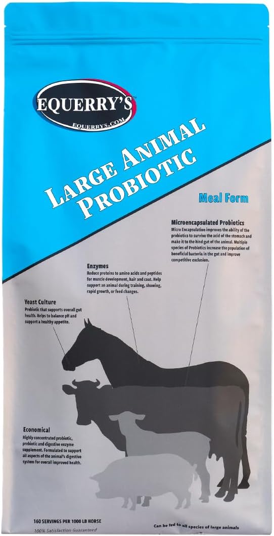 Equerry Large Animal Probiotic 20lbs - Probiotics & Enzymes for Gut Health & Nutrient Absorption - 160 Feedings for 1000 lb Animals