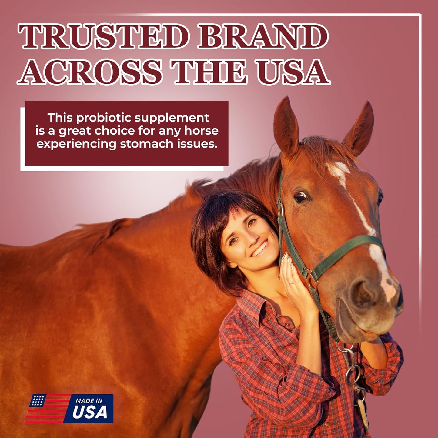 Equerry's Horse Belly Support - Probiotic & Prebiotic Digestive Supplement for Horses - 3.2LB