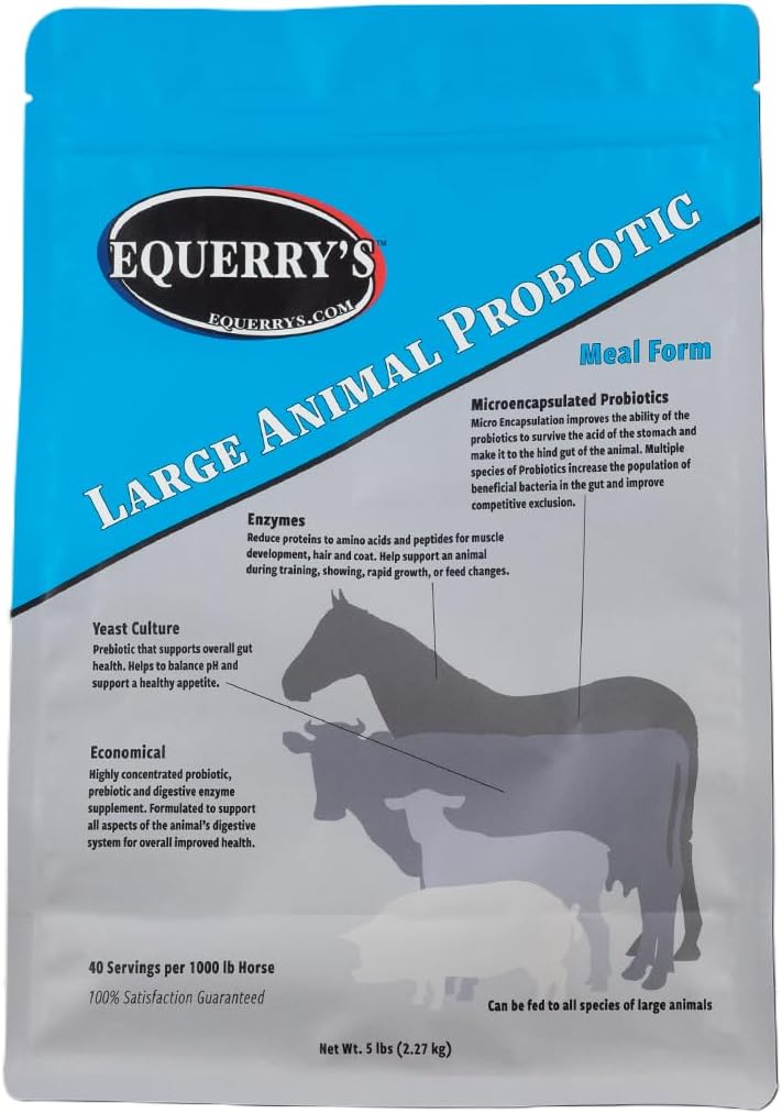 Equerry's Large Animal Probiotic for Gut Health and Nutrient Absorption | Probiotics & Digestive Enzymes for Horses, Cows, Goats, Sheep, Pigs | 40 Feedings | 5 lbs
