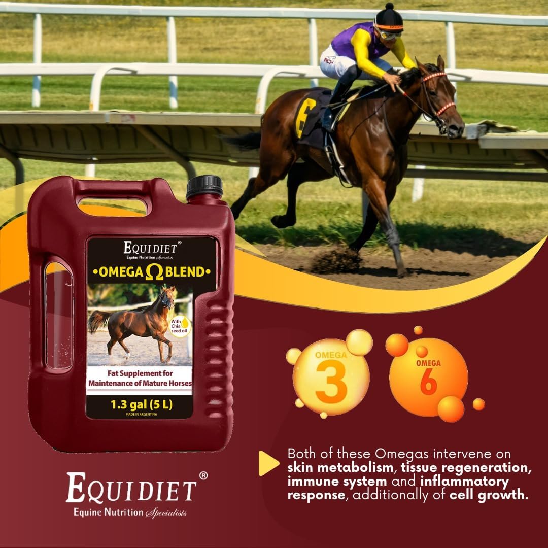 Equidiet Omega Blend Supplement for Horses - Promotes Weight Gain, Muscle Development - Cool Calories, Natural Antioxidants Omega 3 and 6
