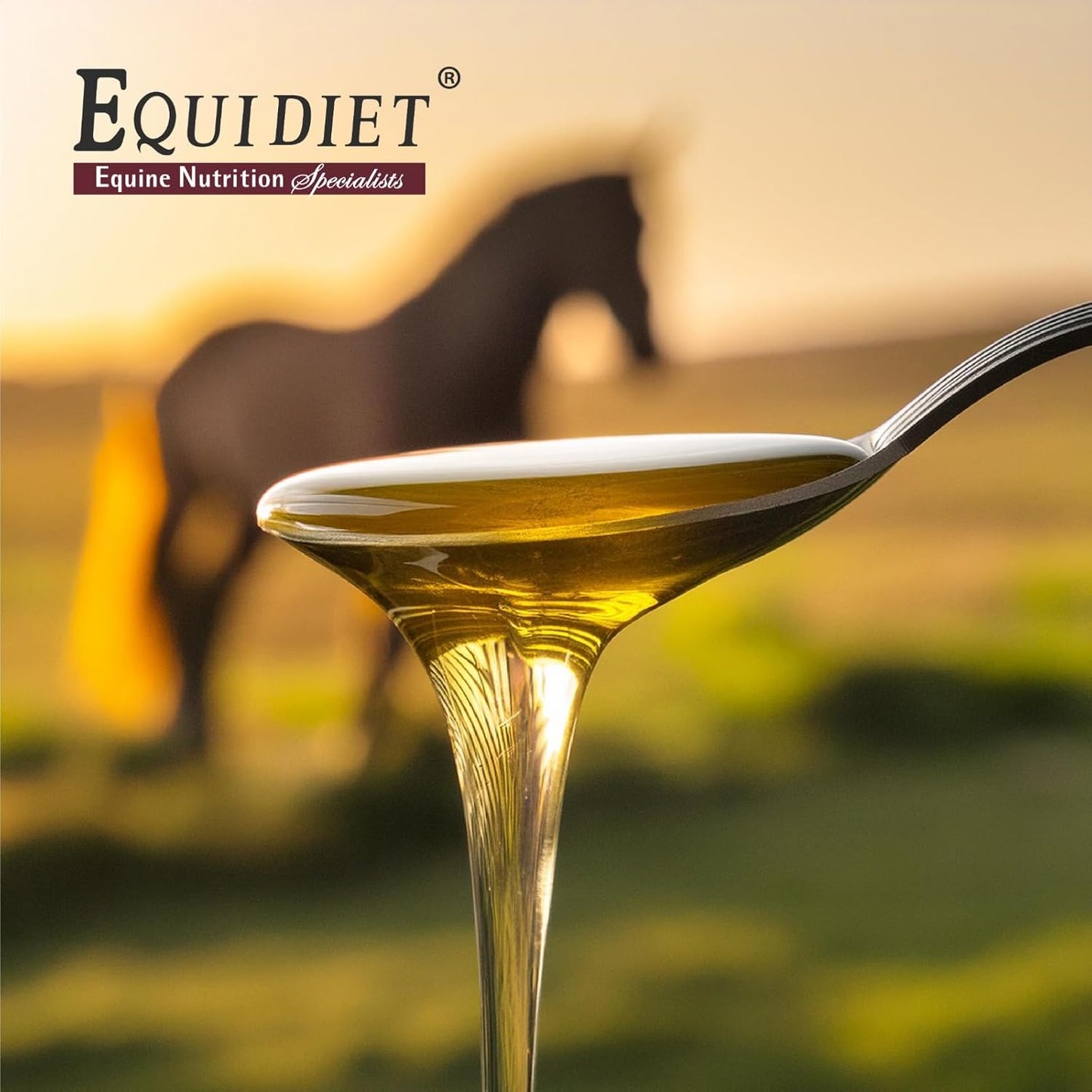 Equidiet Omega Blend Supplement for Horses - Promotes Weight Gain, Muscle Development - Cool Calories, Natural Antioxidants Omega 3 and 6