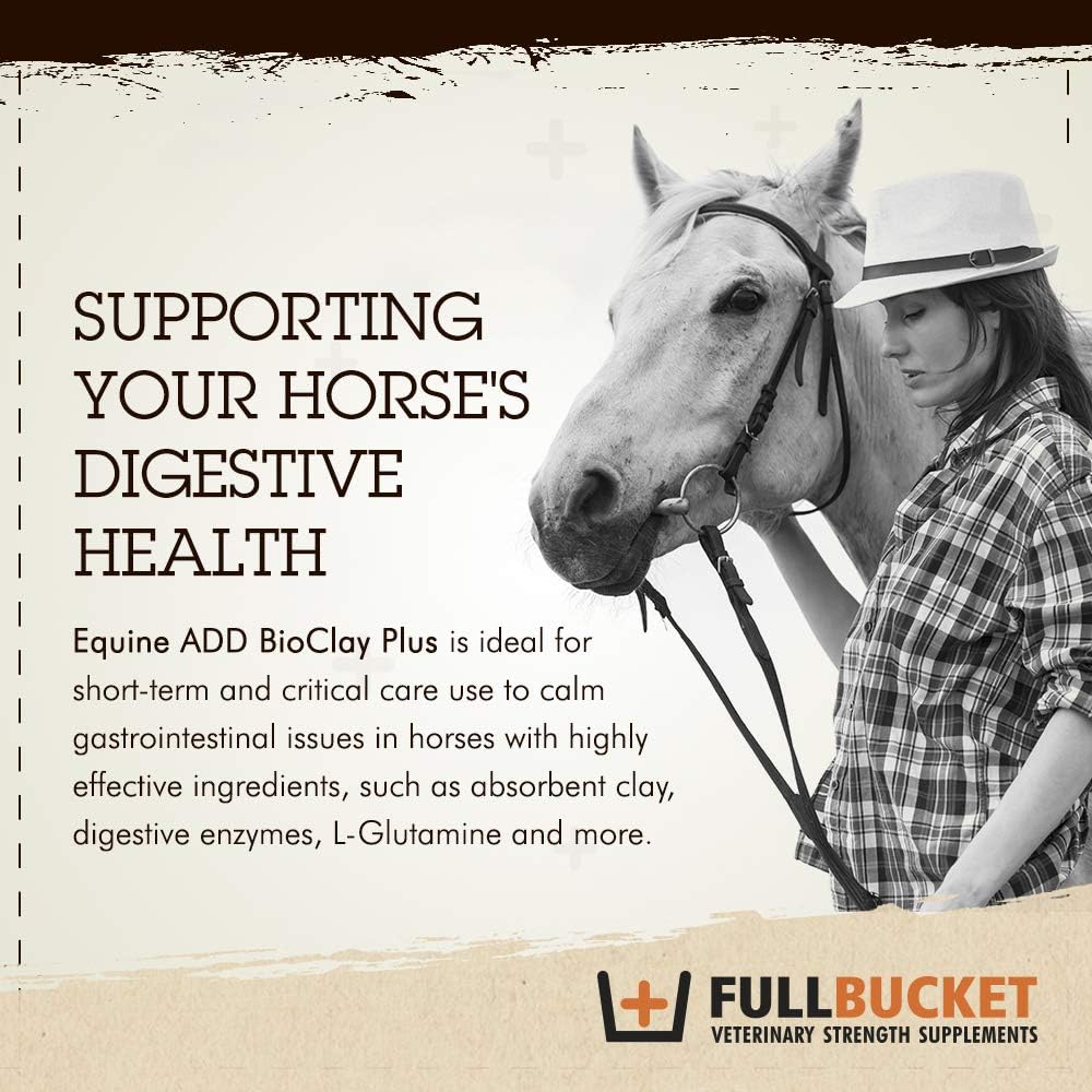 Equine Anti-Diarrhea Supplement with Saccharomyces Cerevisiae Boulardii - 40 Billion CFUs - 1 Tube