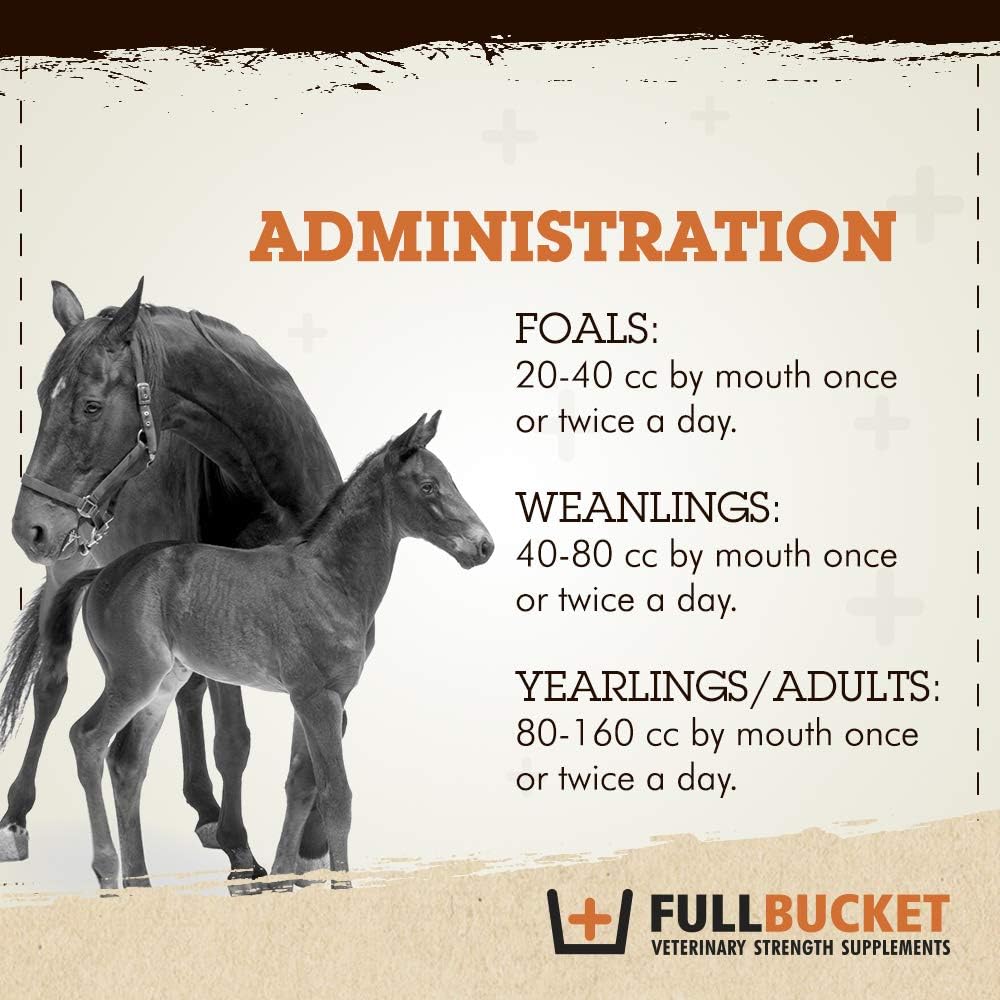 Equine Anti-Diarrhea Supplement with Saccharomyces Cerevisiae Boulardii - 40 Billion CFUs - 1 Tube